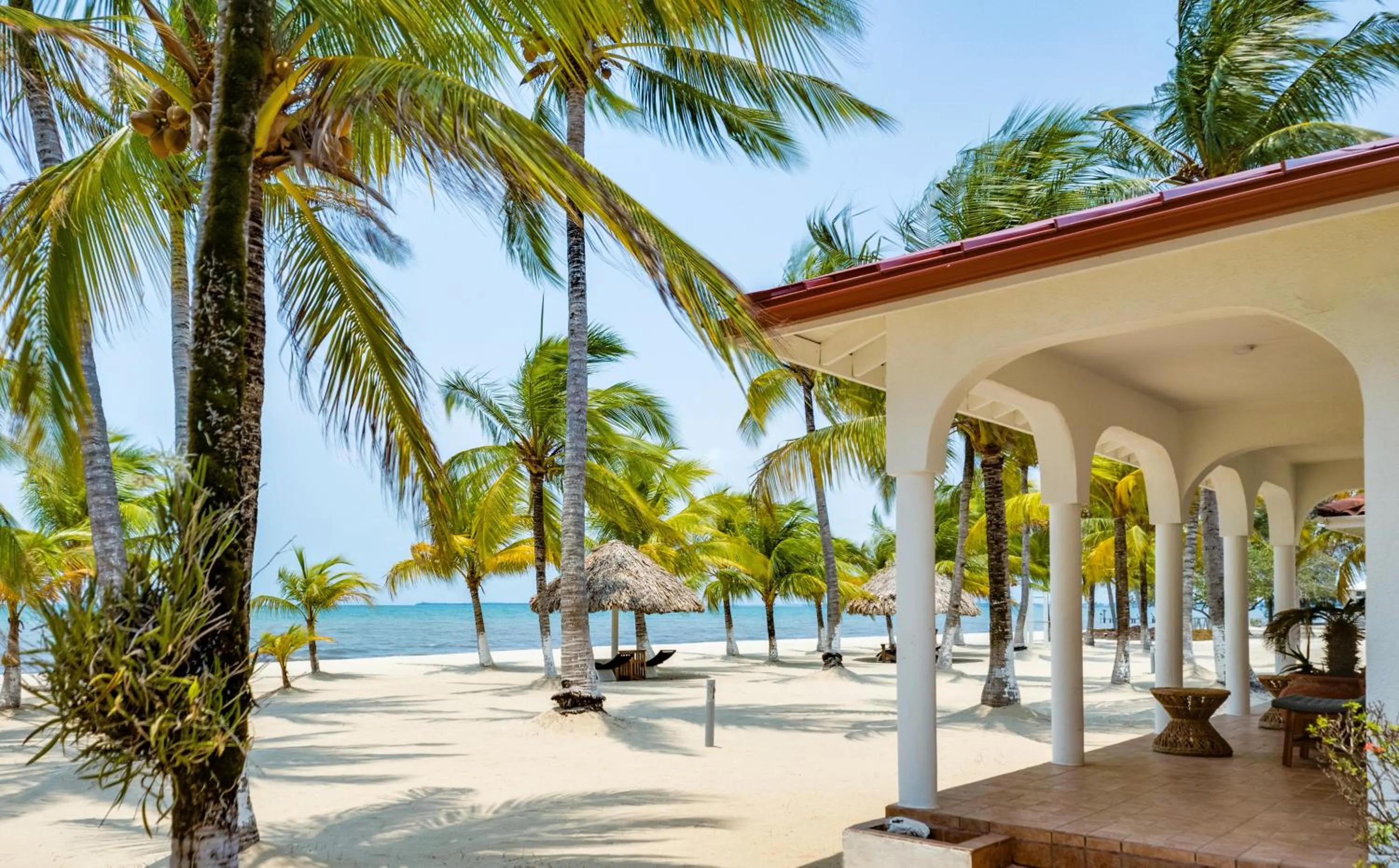 View (from property/room) in Placencia Resort