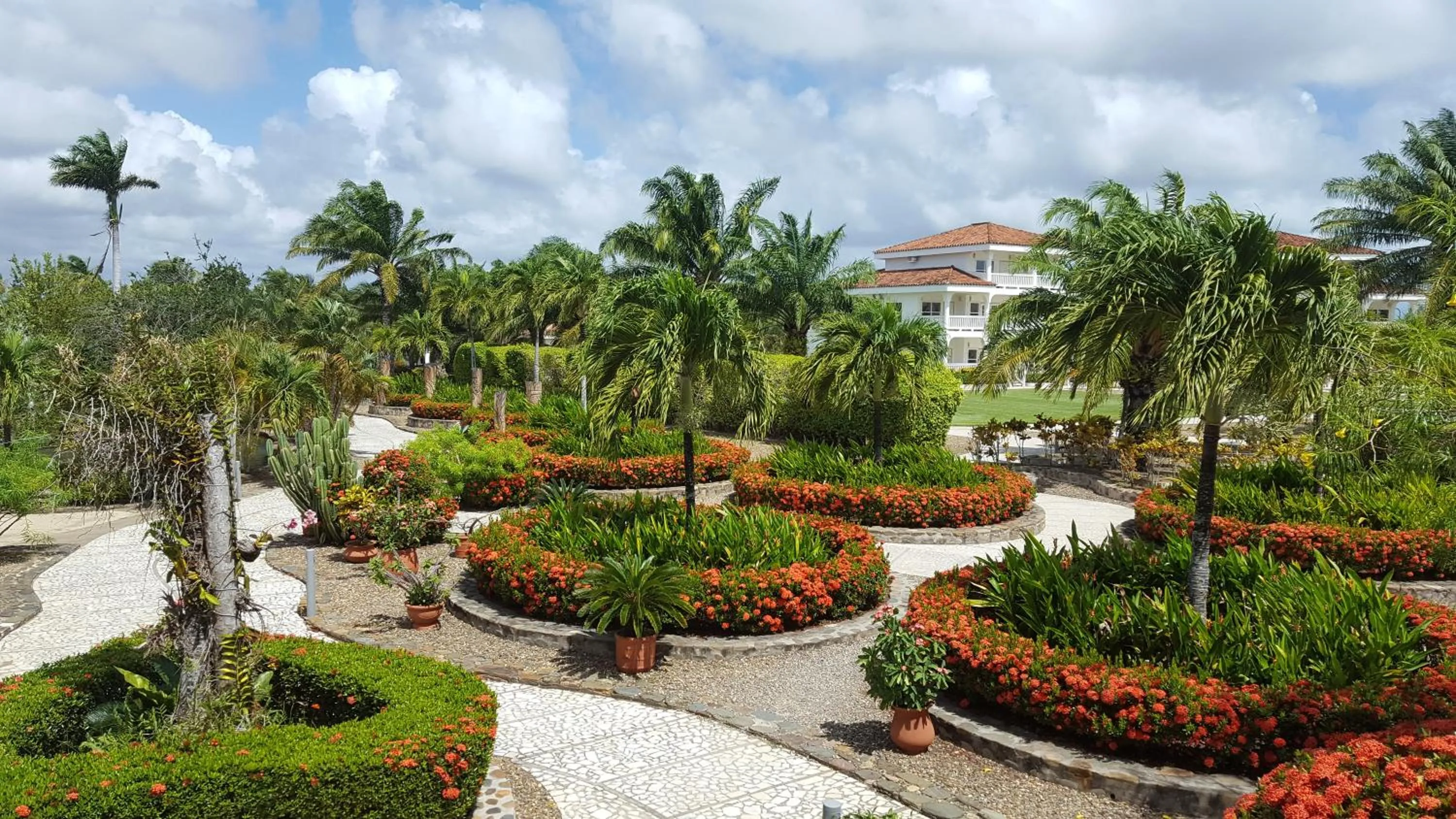 Garden in Placencia Resort
