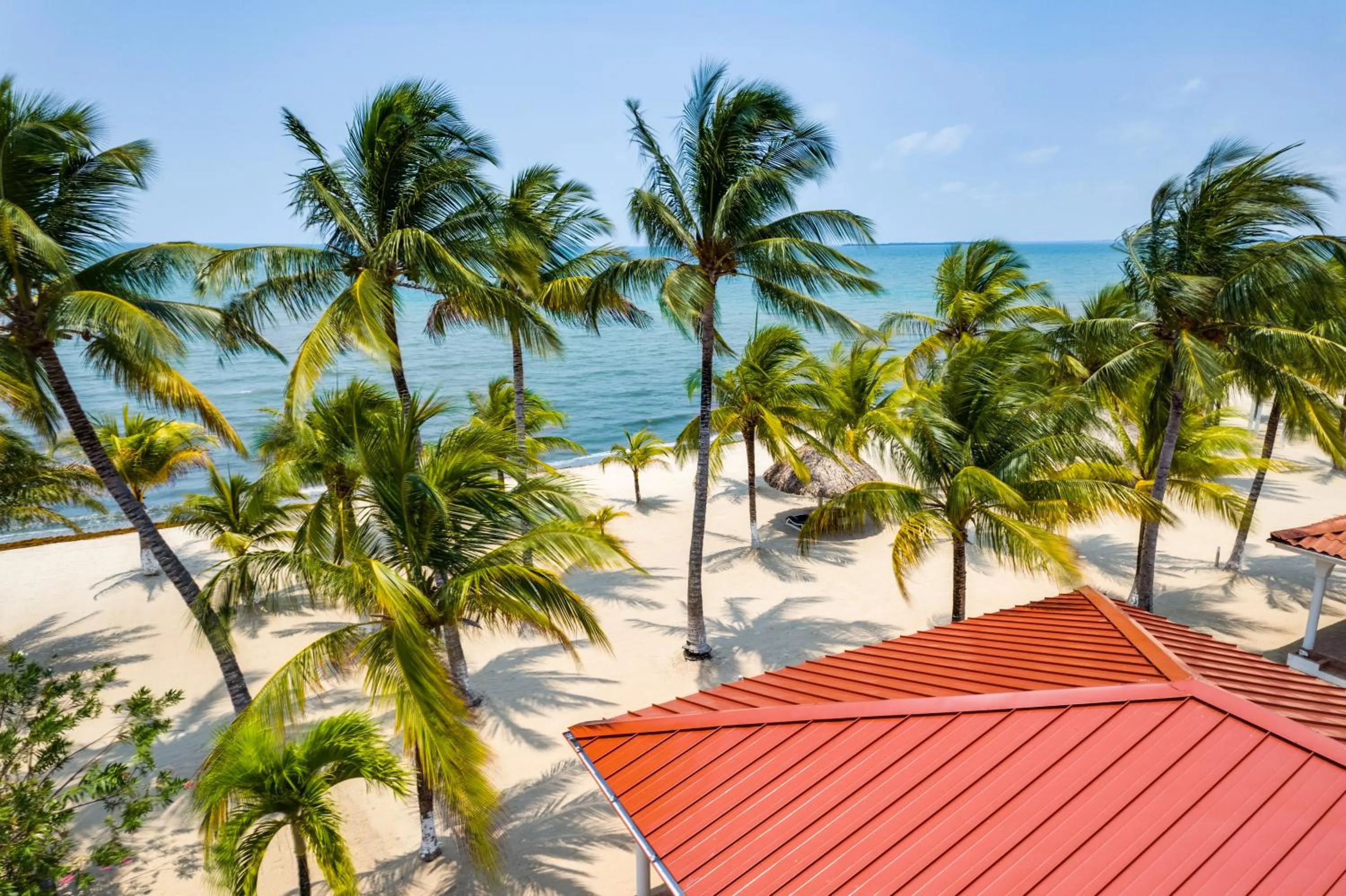 View (from property/room) in Placencia Resort