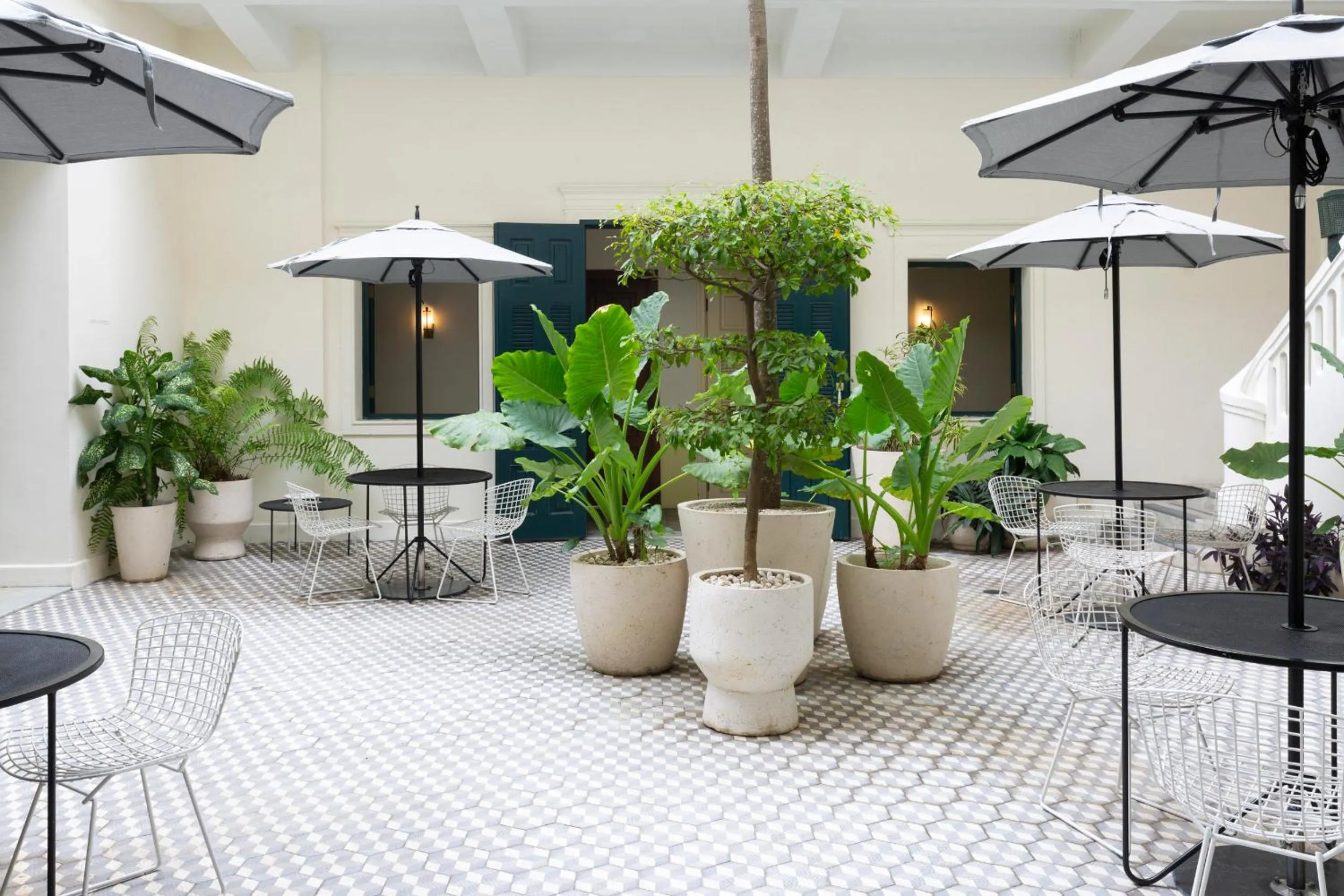 Garden in American Trade Hotel