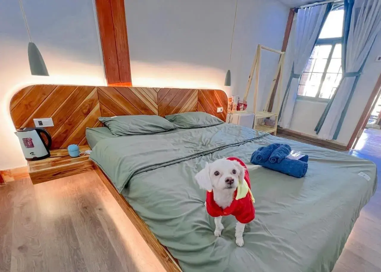 Bed in Green Town Mộc Châu Bed in Green Town Mộc Châu