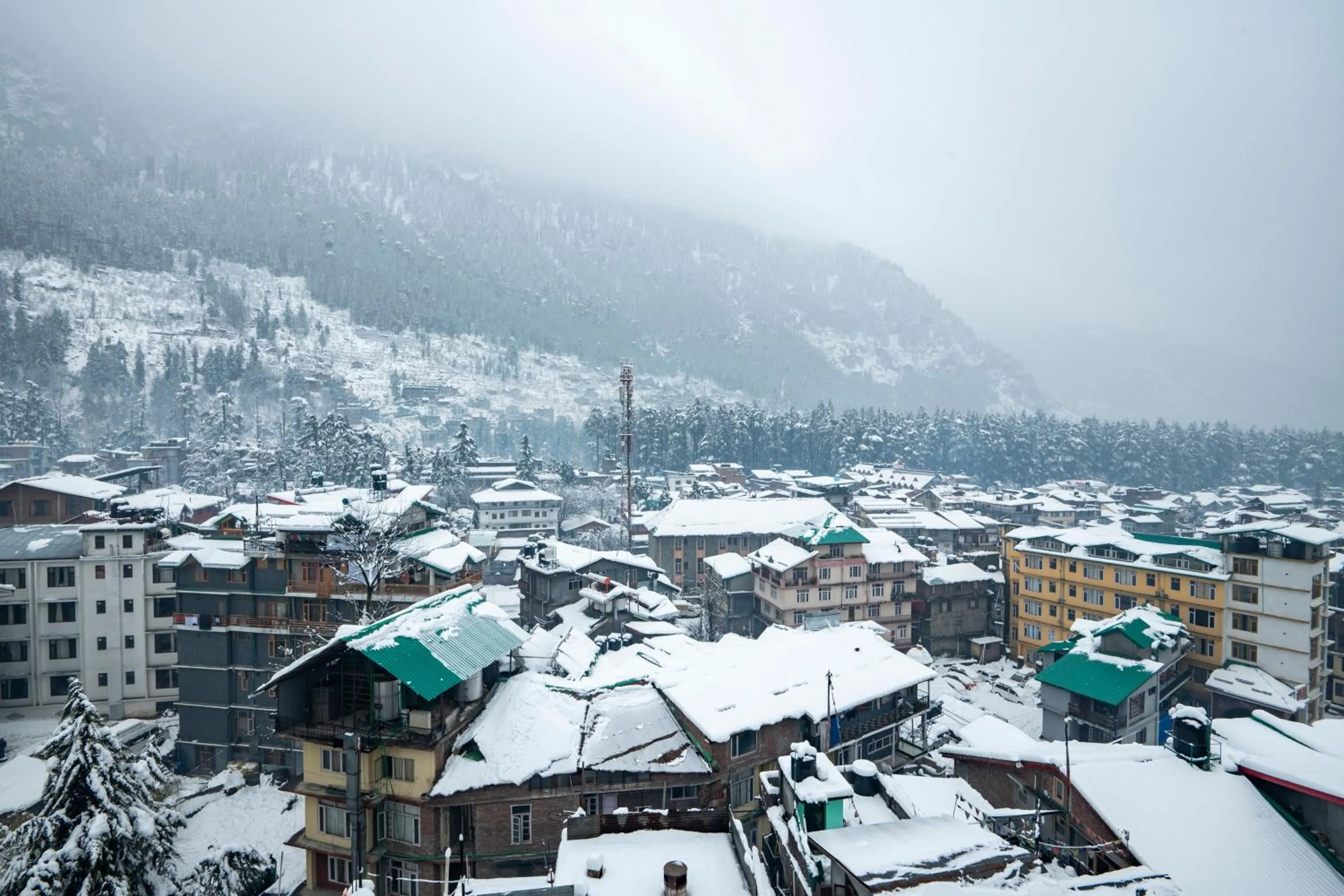 View (from property/room) in Treebo Premium Sattva With Mountain View