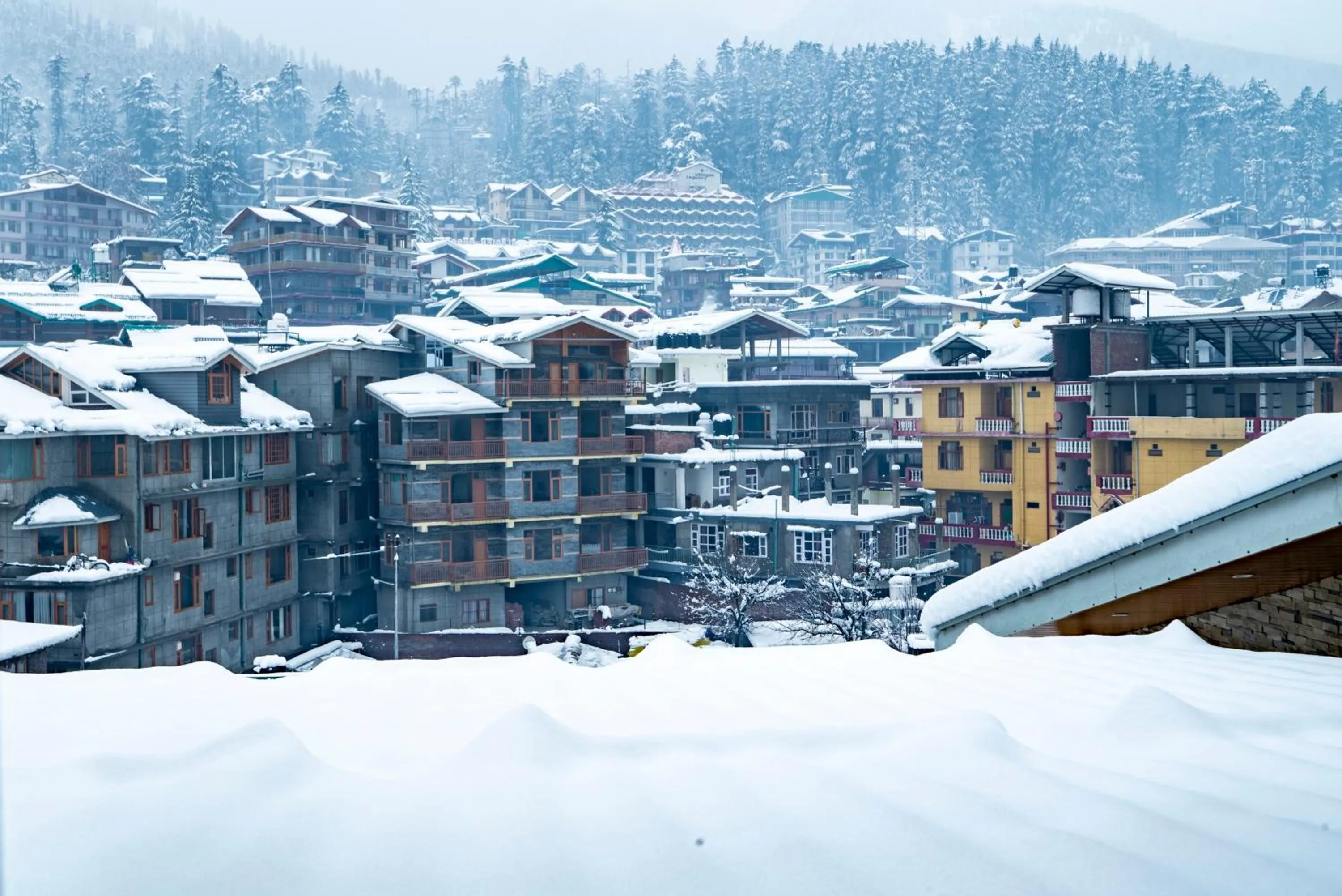 View (from property/room) in Treebo Premium Sattva With Mountain View