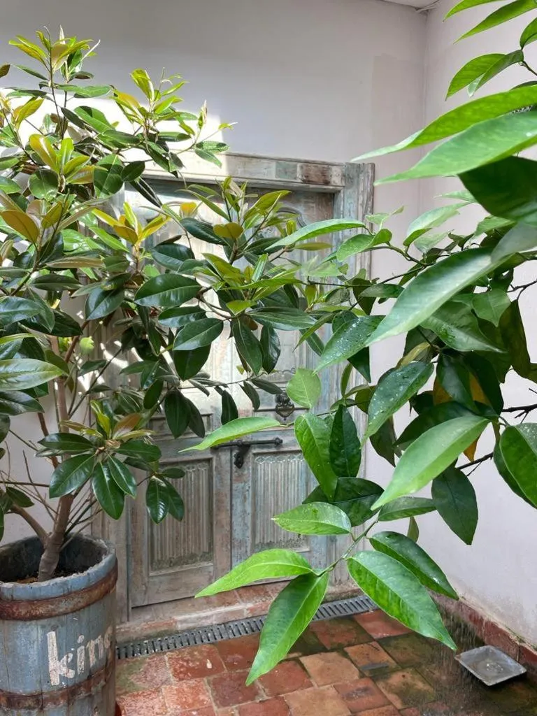 BOMBAYARTE APARTHOTEL TARIFA