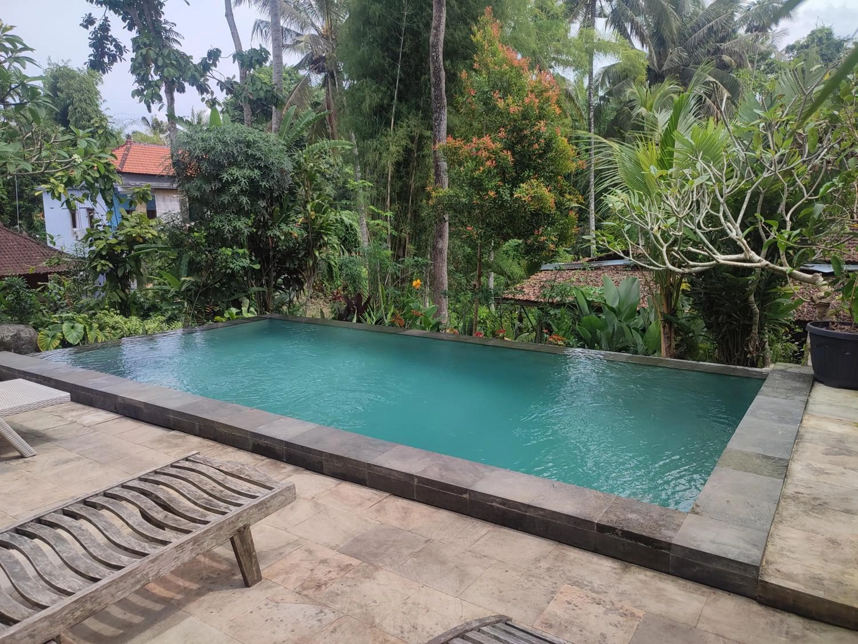Pool view in Nyoman Homestay Ubud