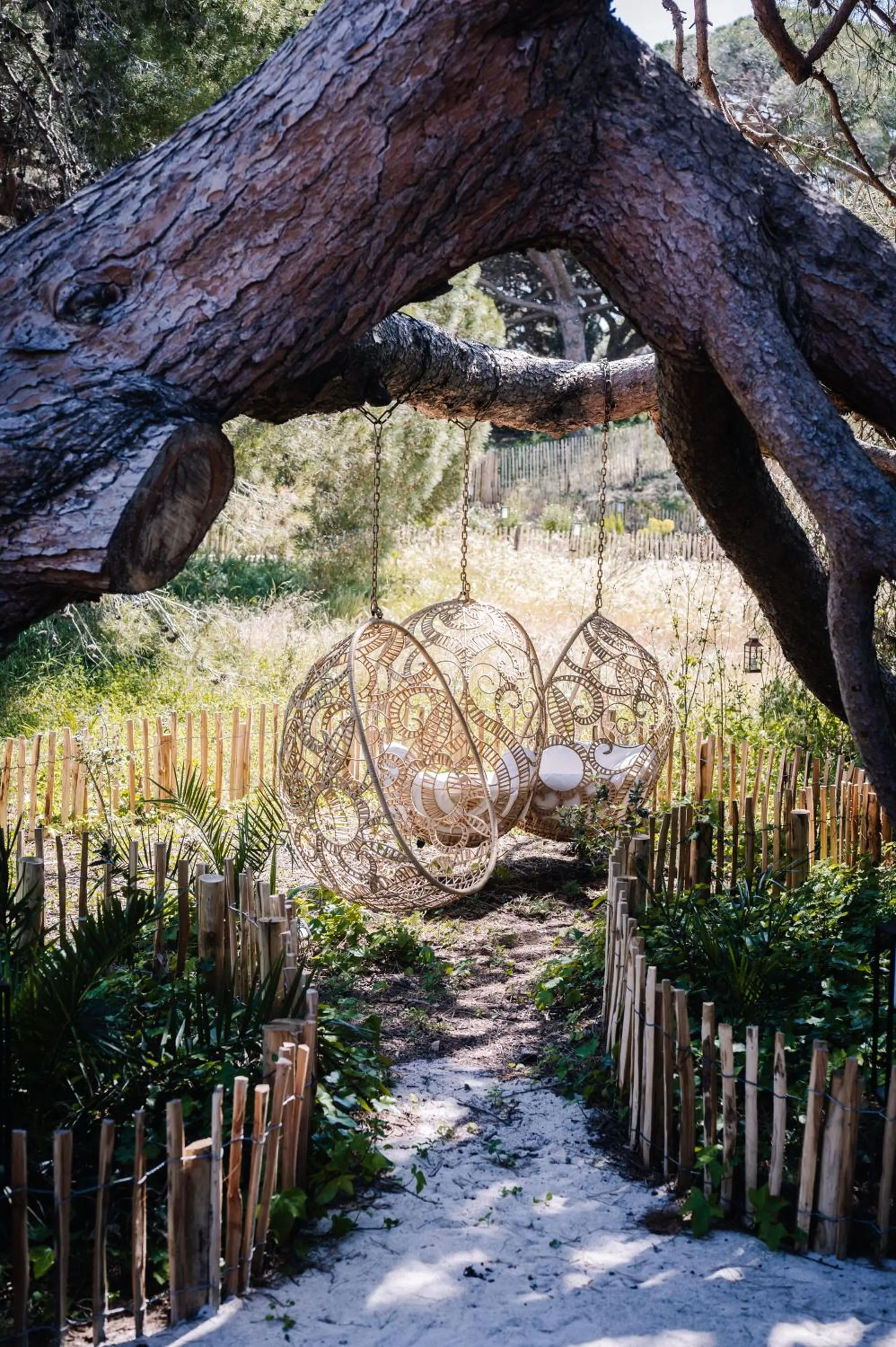 Garden in Le Hameau Des Pesquiers Ecolodge & Spa, Curio Collection By Hilton