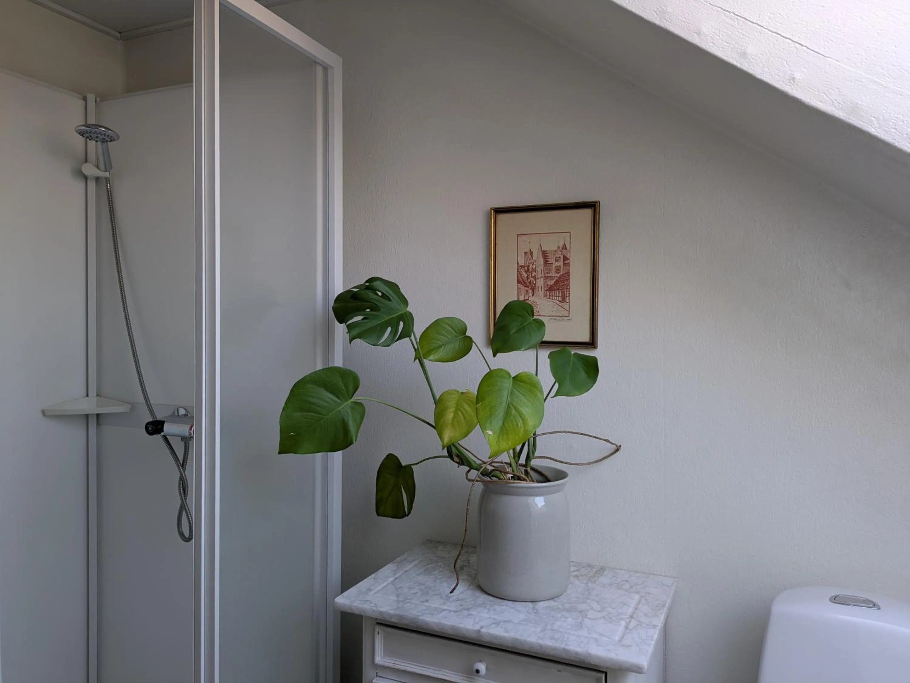 Toilet in Restaurant Backhaus