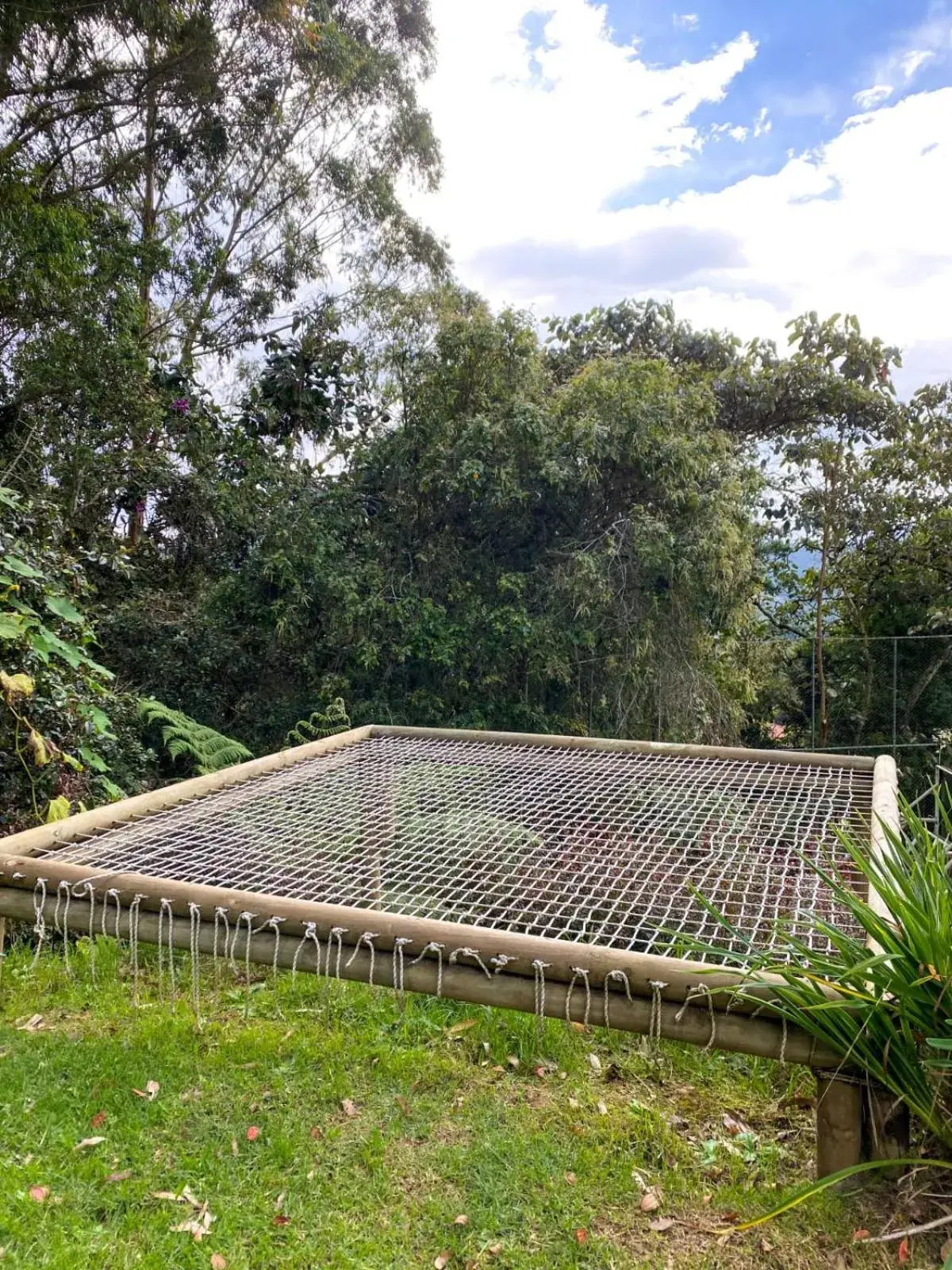 Garden view in ORU CAMPESTRE Garden view in ORU CAMPESTRE