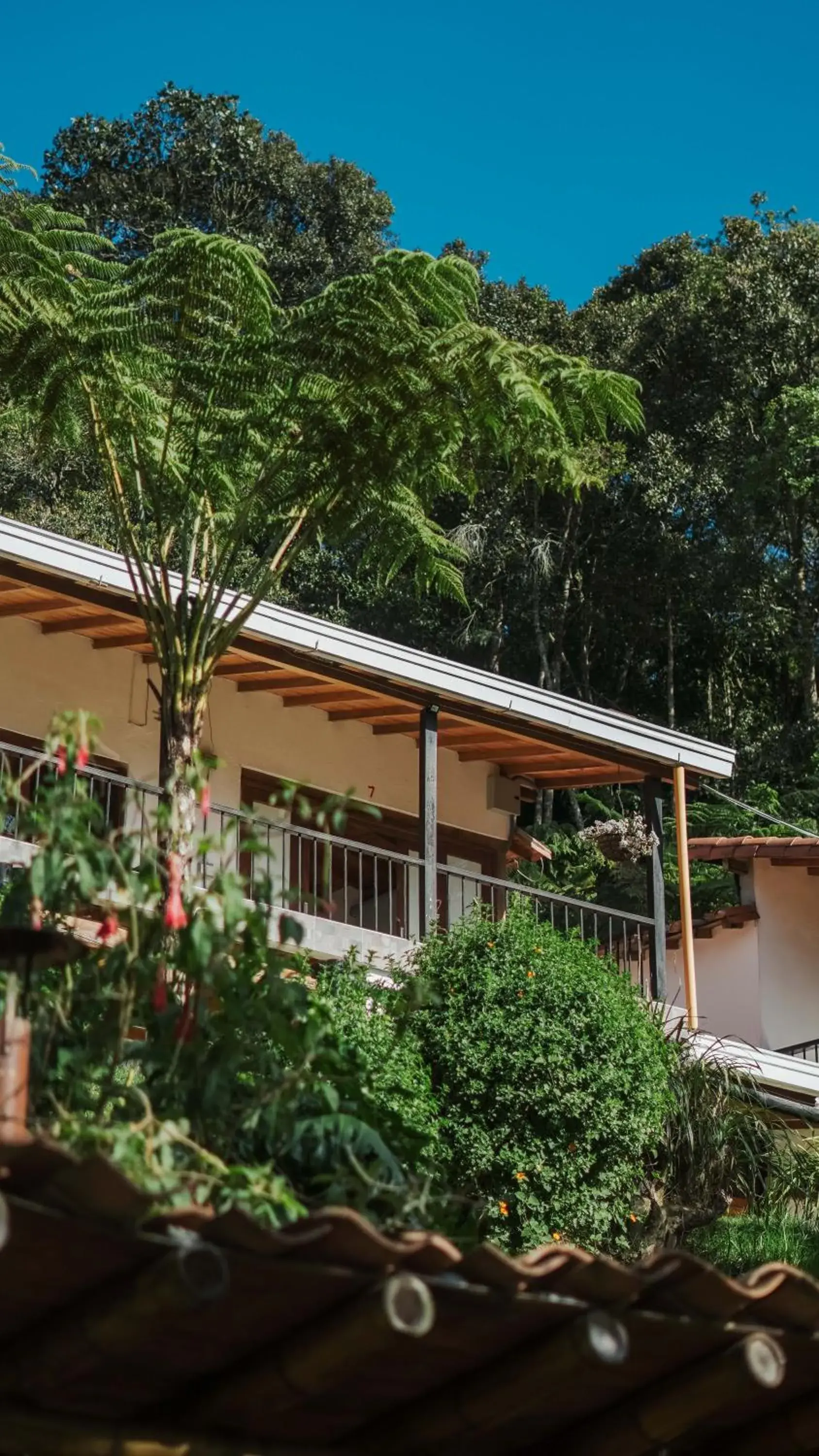 Property building in ORU CAMPESTRE Property building in ORU CAMPESTRE