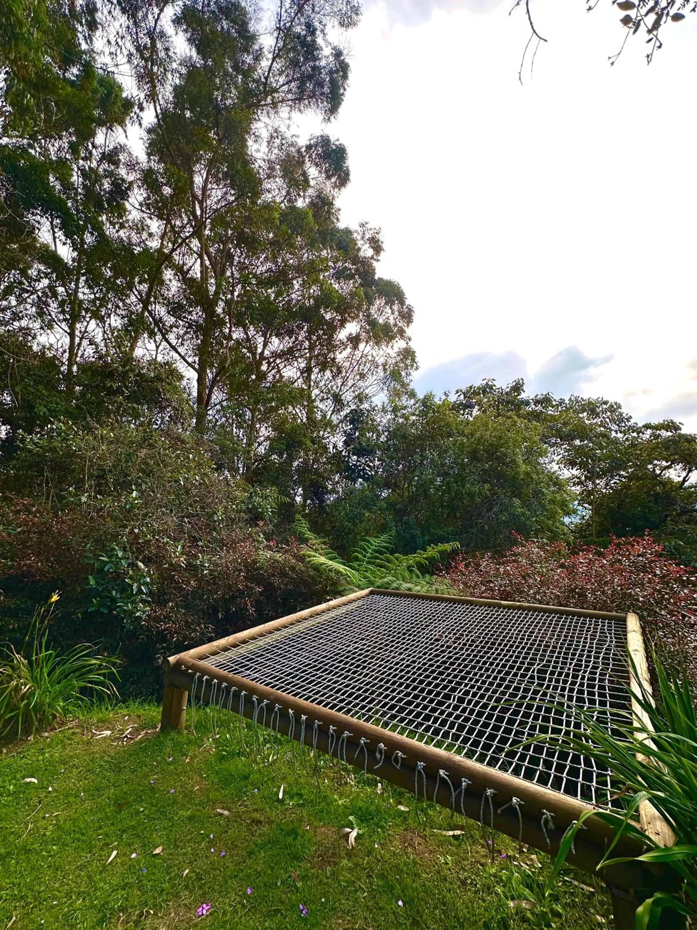 Natural landscape in ORU CAMPESTRE