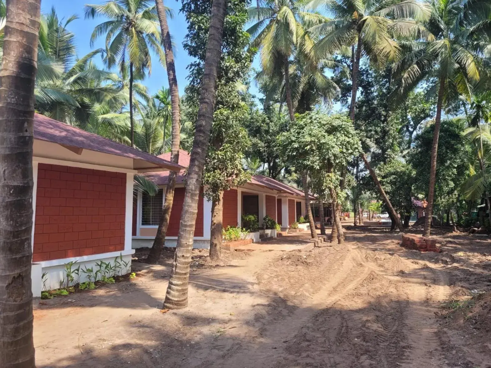 Garden view in Cocorico Beach Resort Garden view in Cocorico Beach Resort