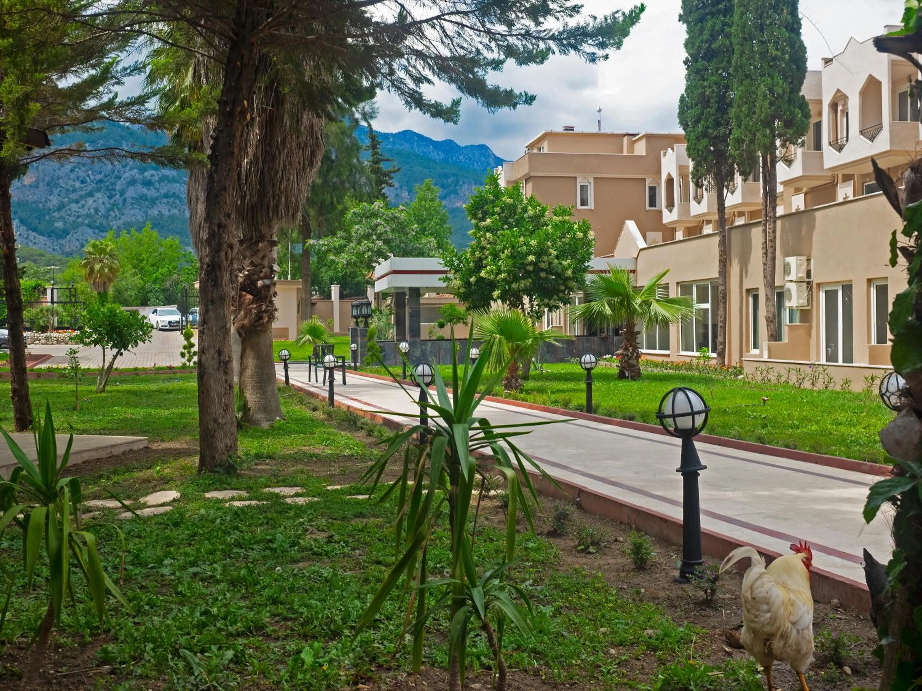 Garden view in Alexius Beach Hotel
