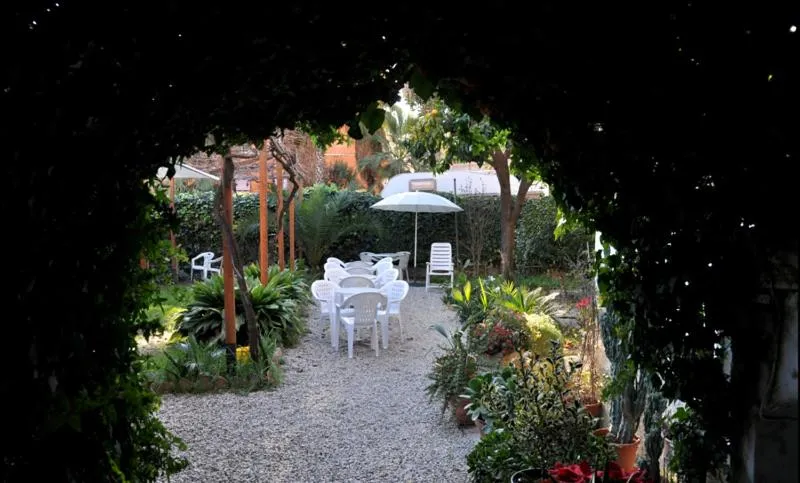 Patio in Hotel Lodi