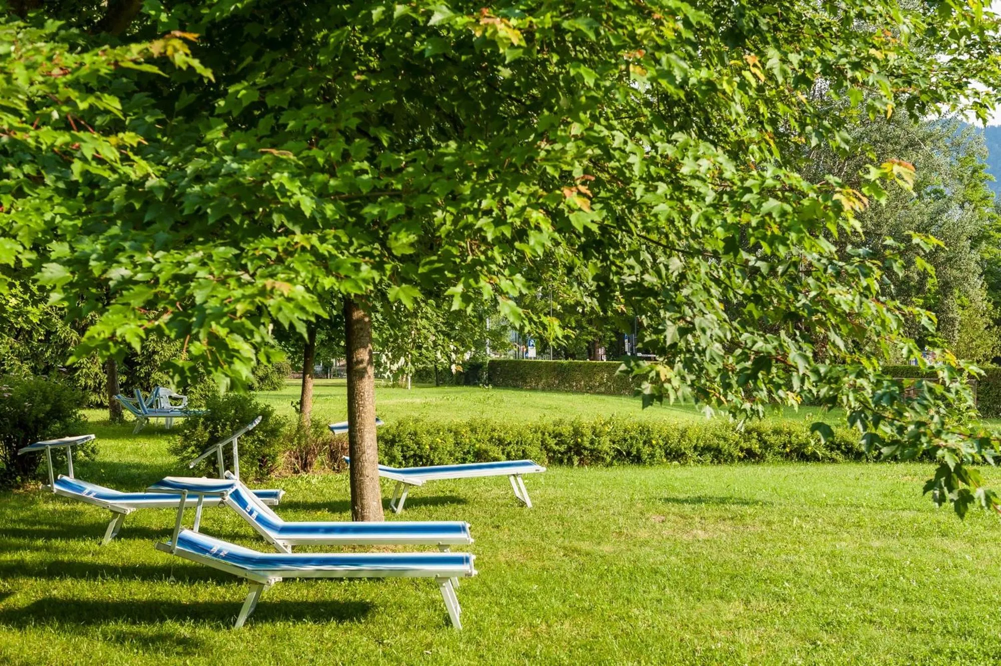 Garden in Hotel Al Sorriso Greenpark & Wellness