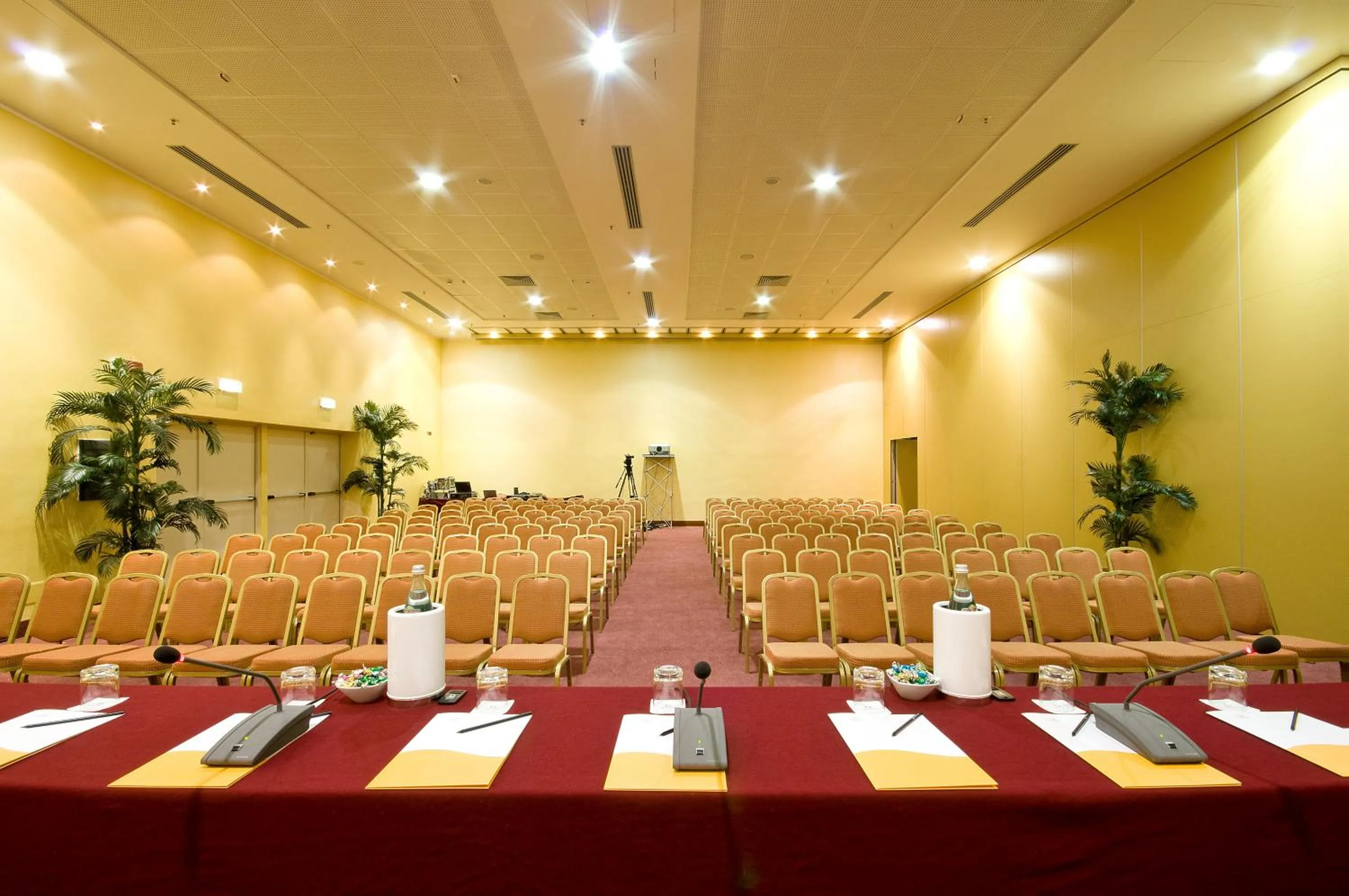Meeting/conference room in Hotel Capannelle Roma