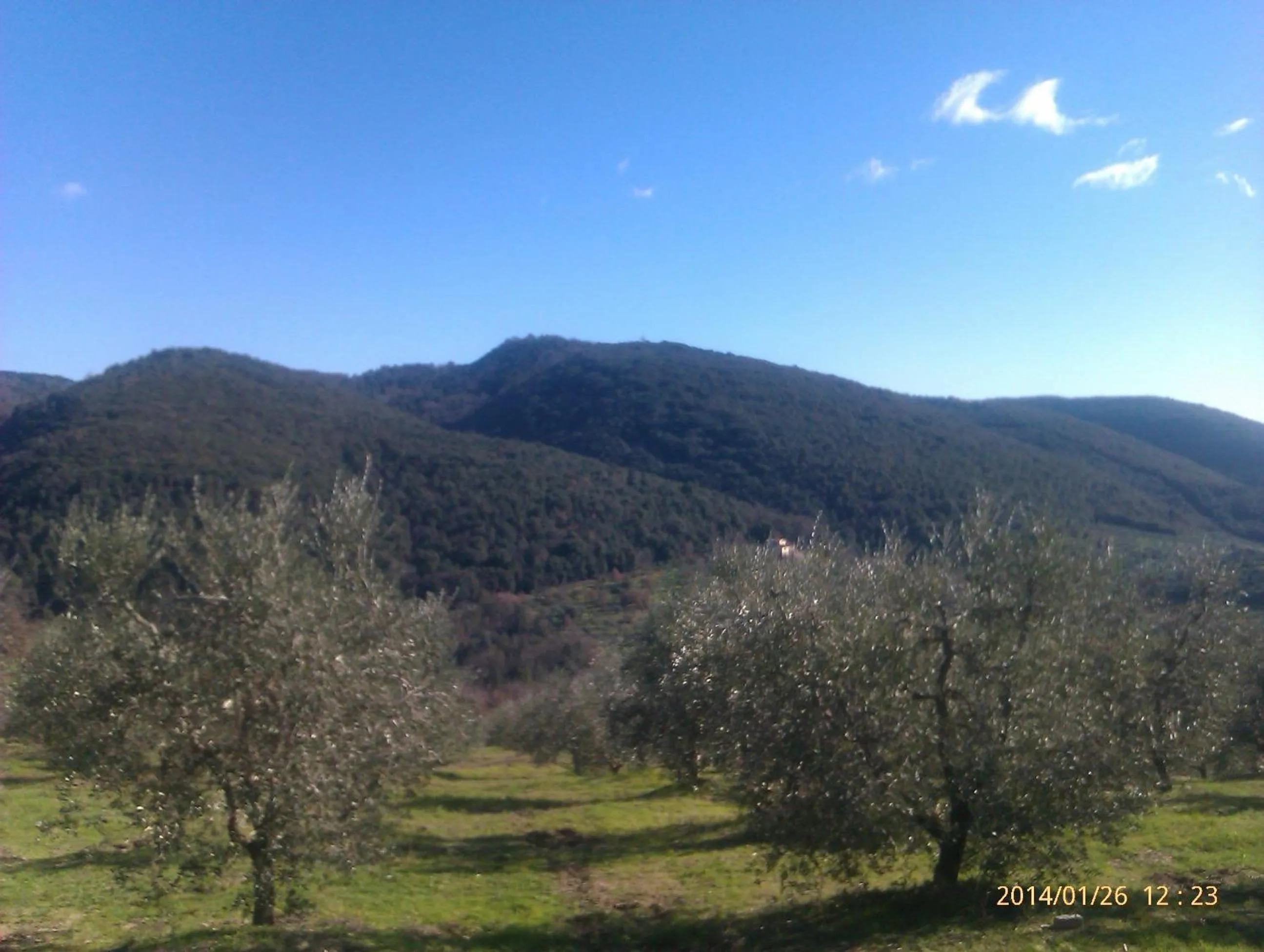 Horse-riding in 1000 Miglia
