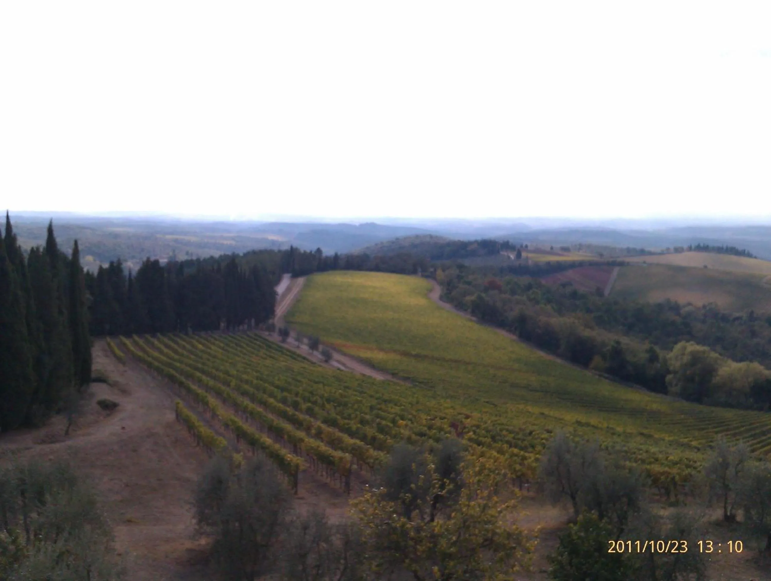 Horse-riding in 1000 Miglia