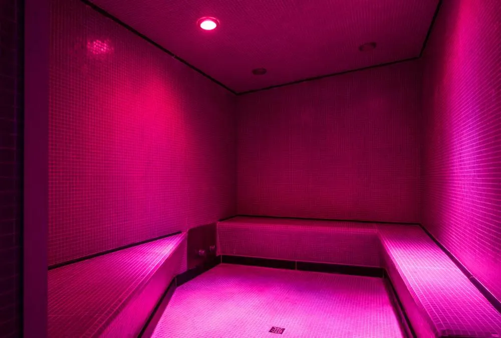 Steam room, Bed in Hotel Michelangelo & Day SPA