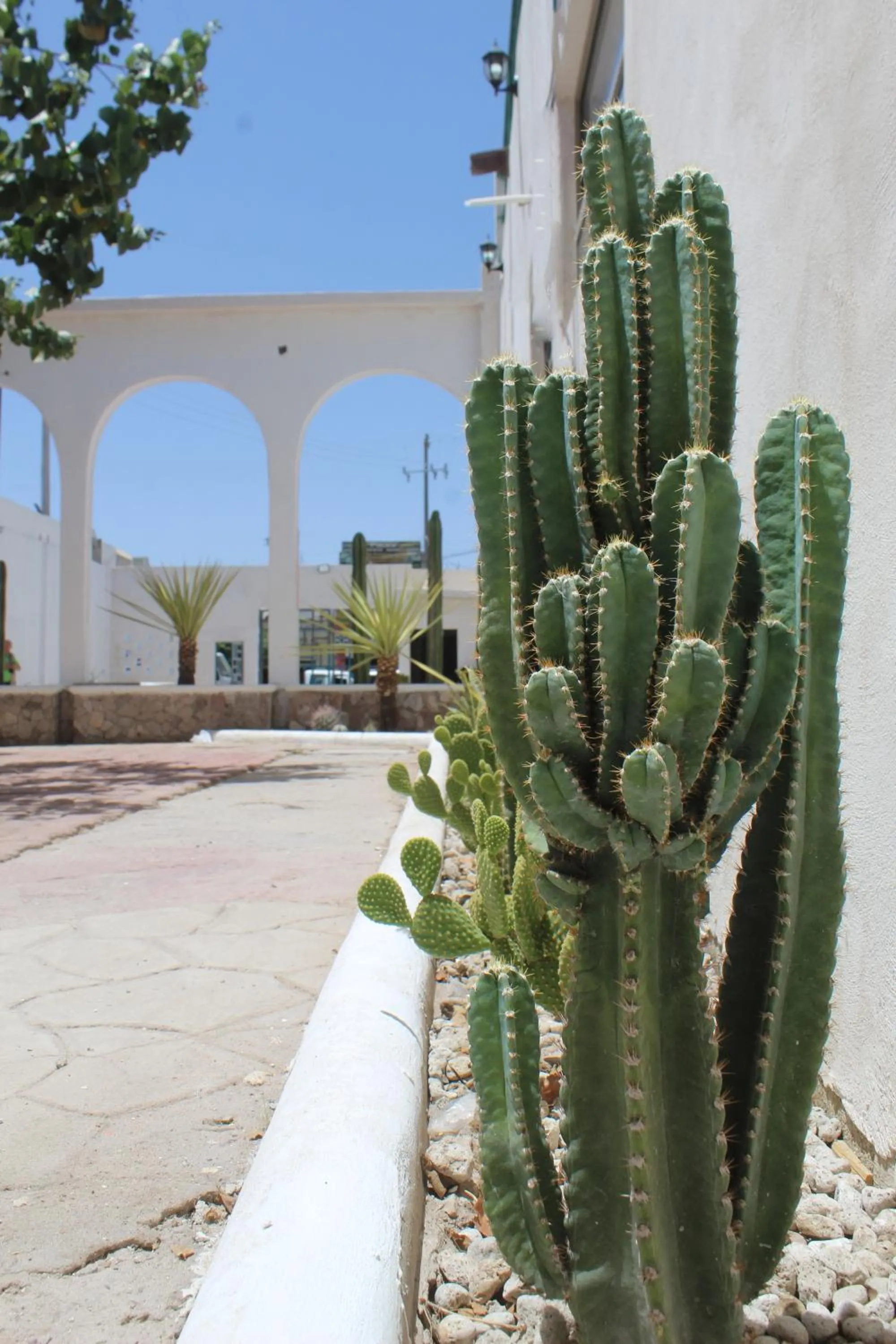 Property building in Hotel Casa Hidalgo, Torreón