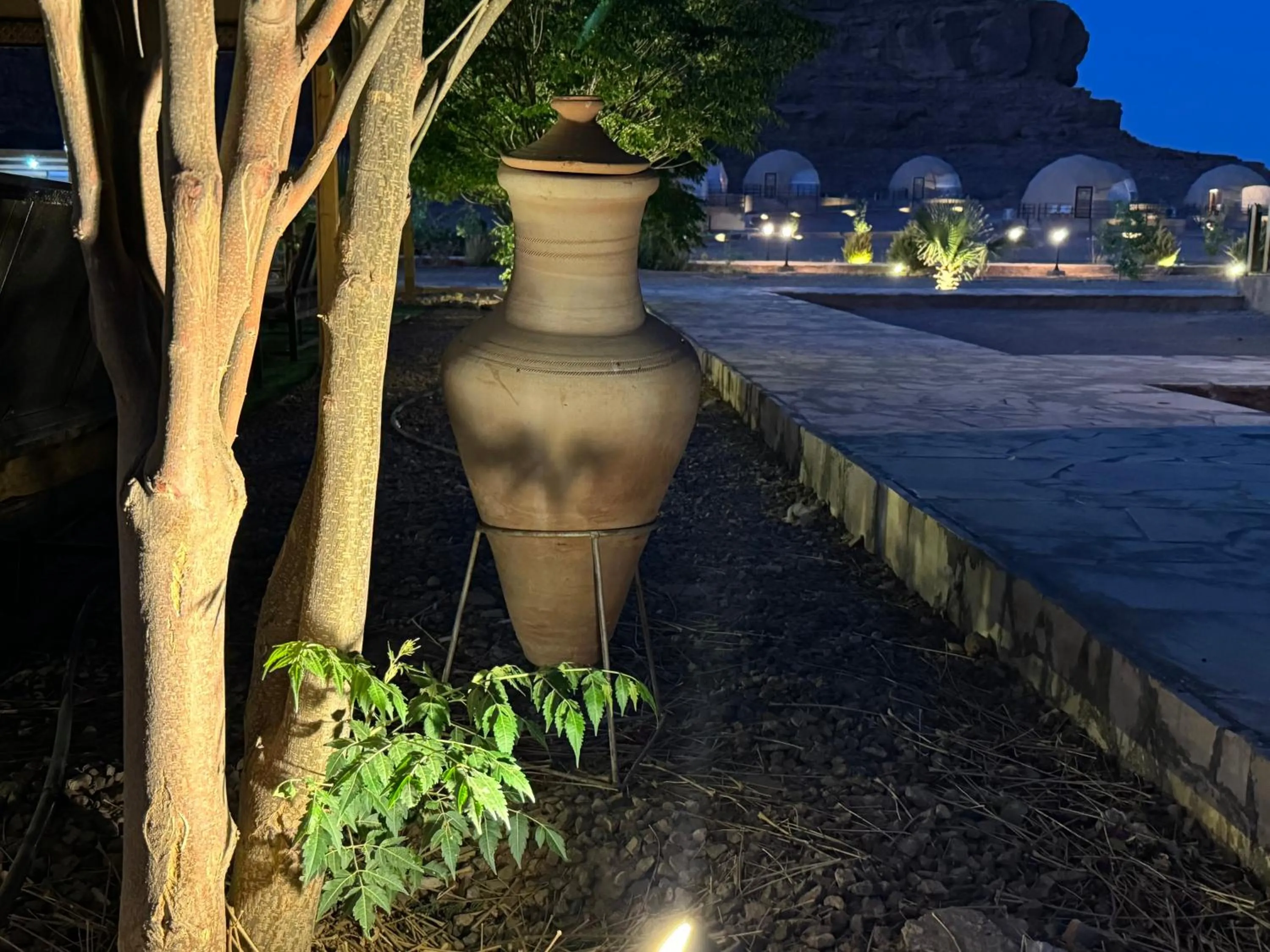 Night in Jabal Rum Camp