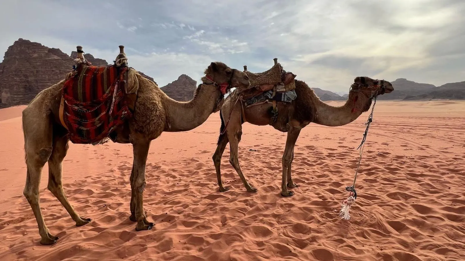 Day in Jabal Rum Camp