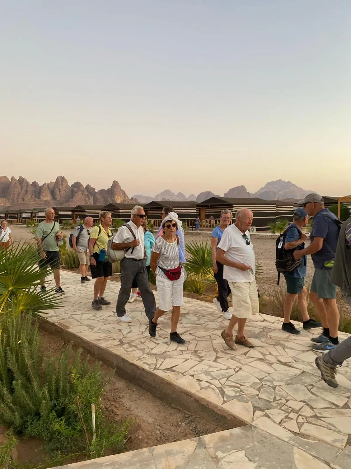 Day in Jabal Rum Camp