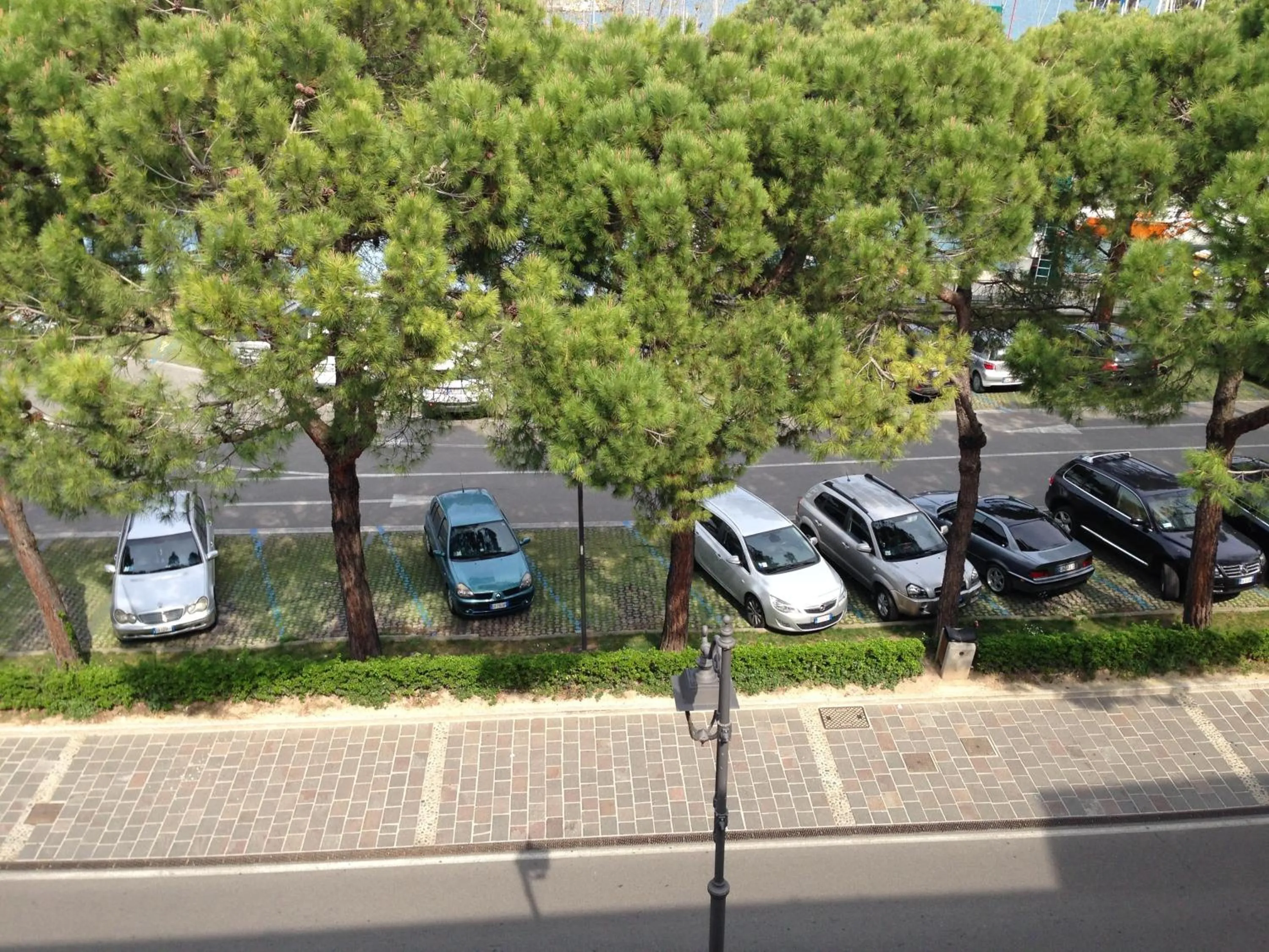 Area and facilities in Hotel Plaza