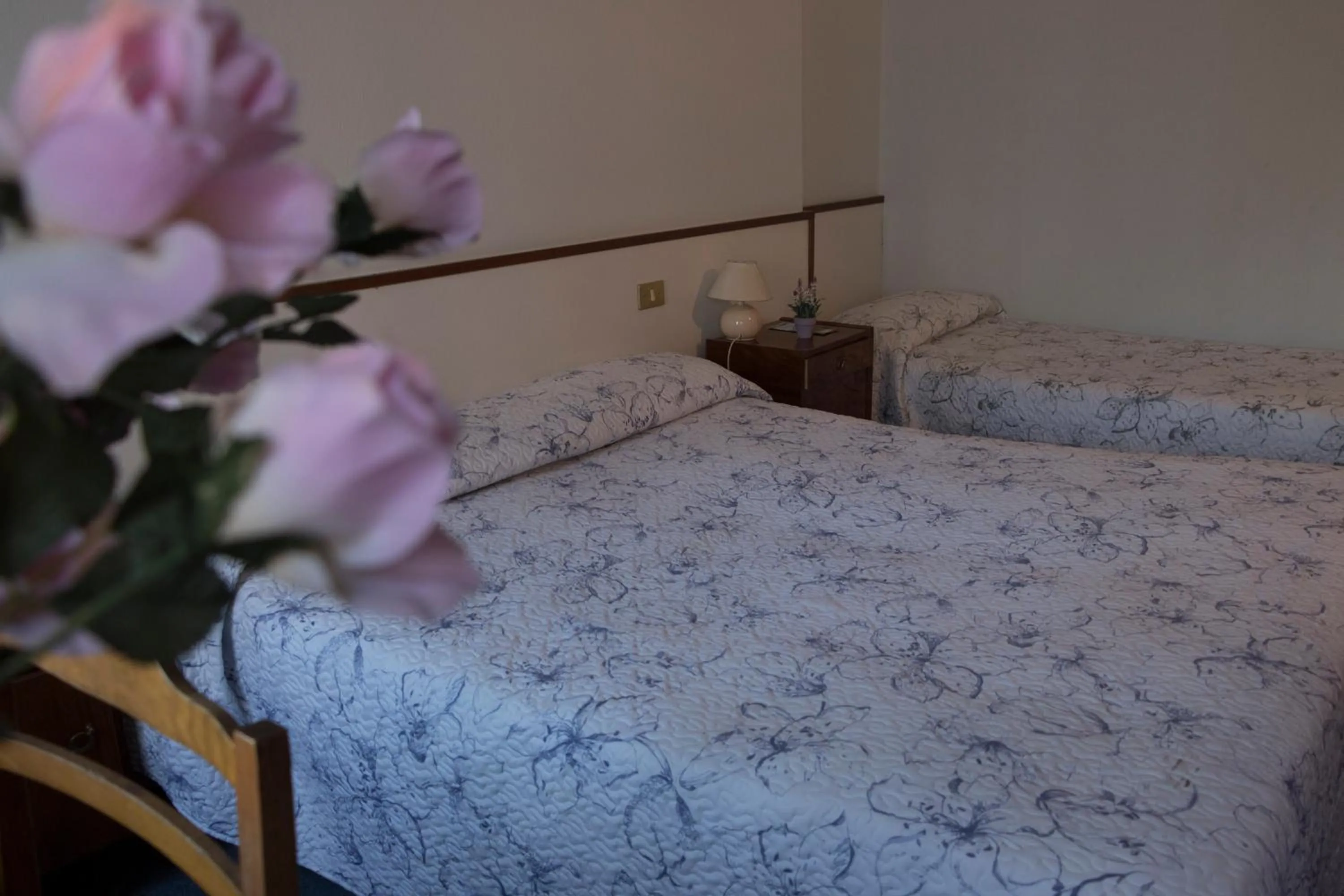 Photo of the whole room in Hotel Primavera