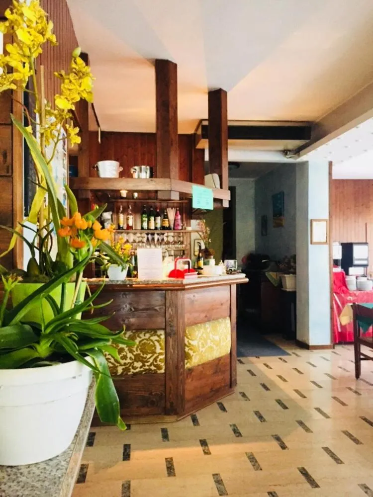 Lounge or bar in Hotel Primavera