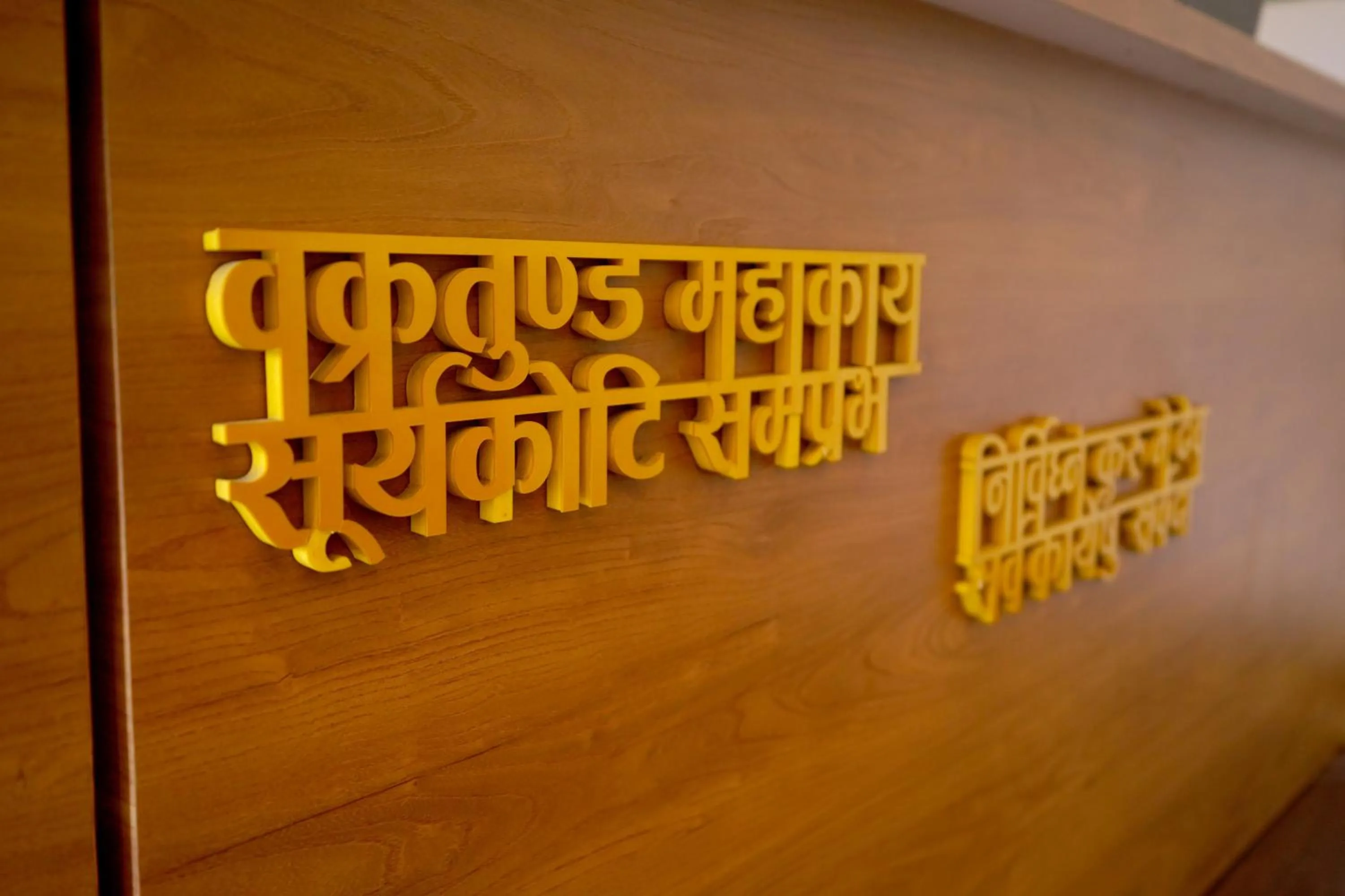 Property building in The Naga Rishikesh