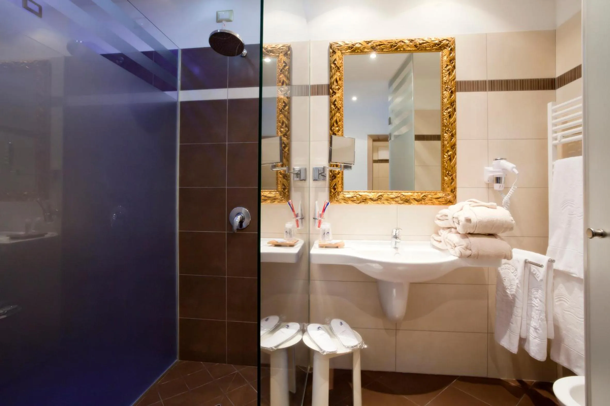 Shower in Parc Hotel Du Lac