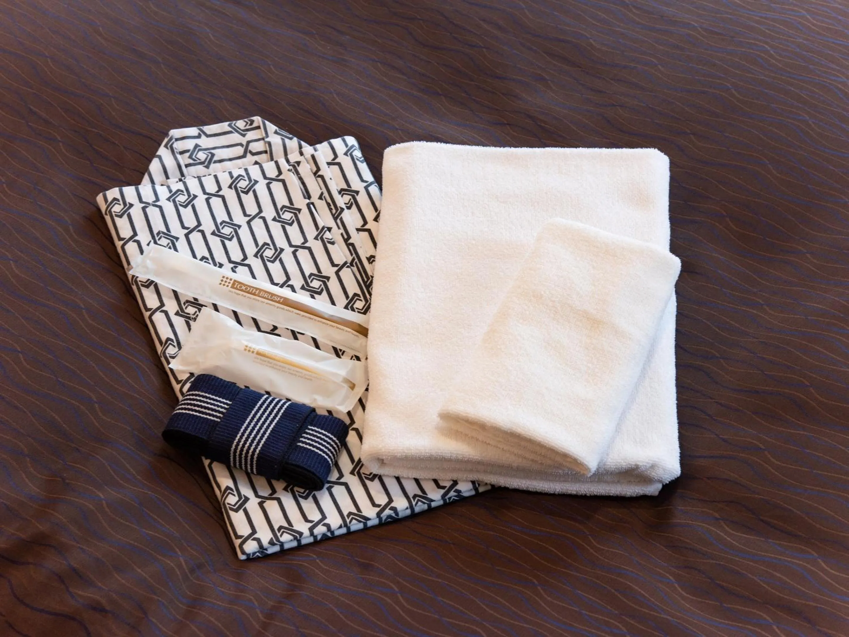 Photo of the whole room in Hotel Primrose Saito