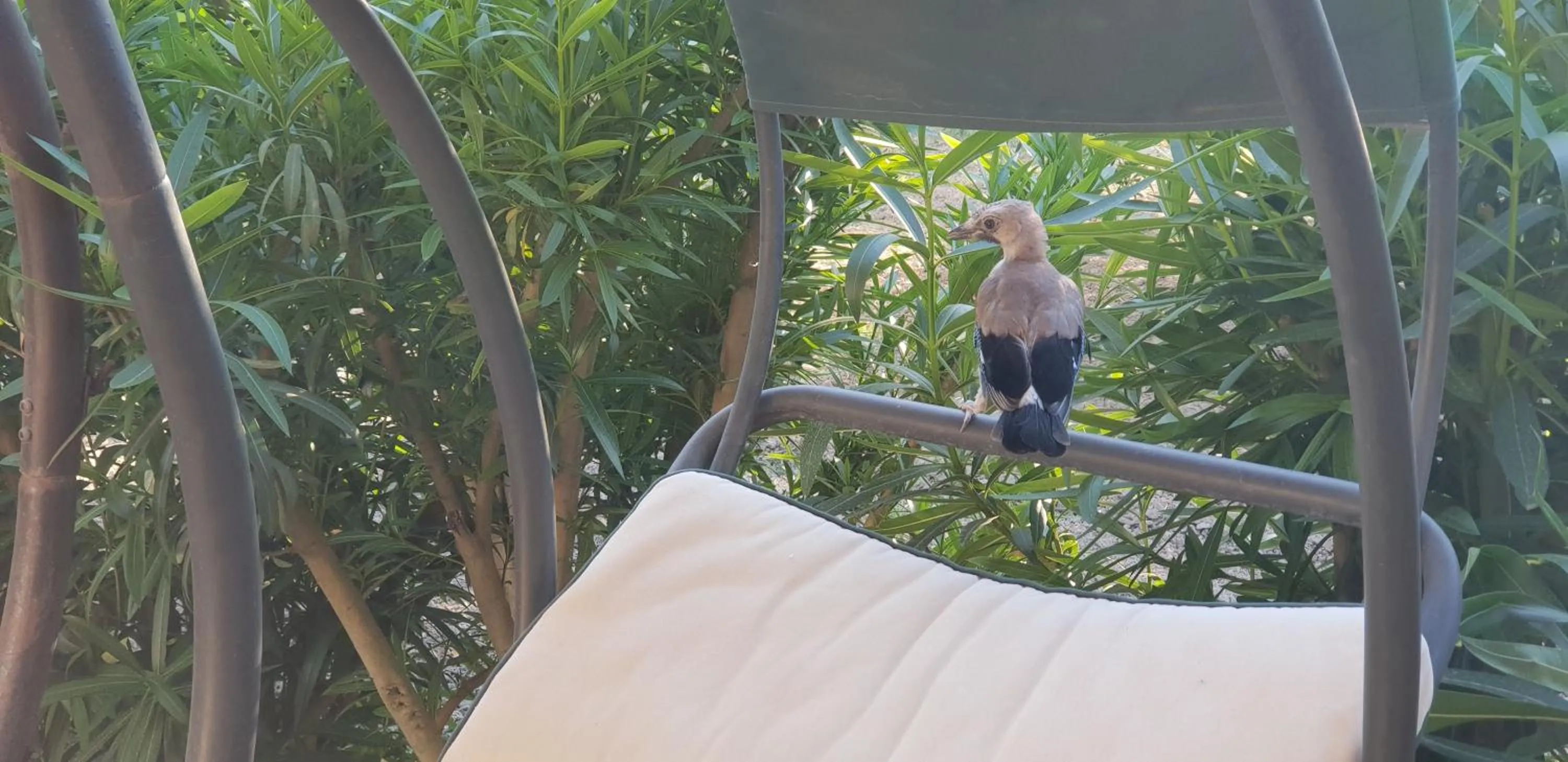 Giardino Degli Ulivi Resort Masseria