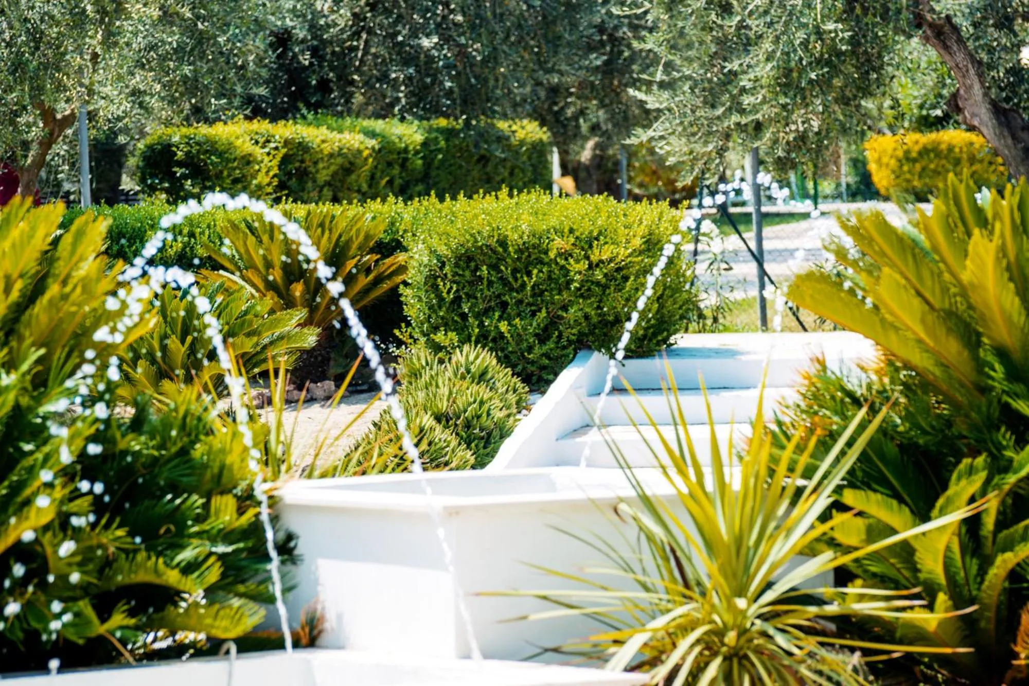 Garden view in Giardino Degli Ulivi Resort Masseria