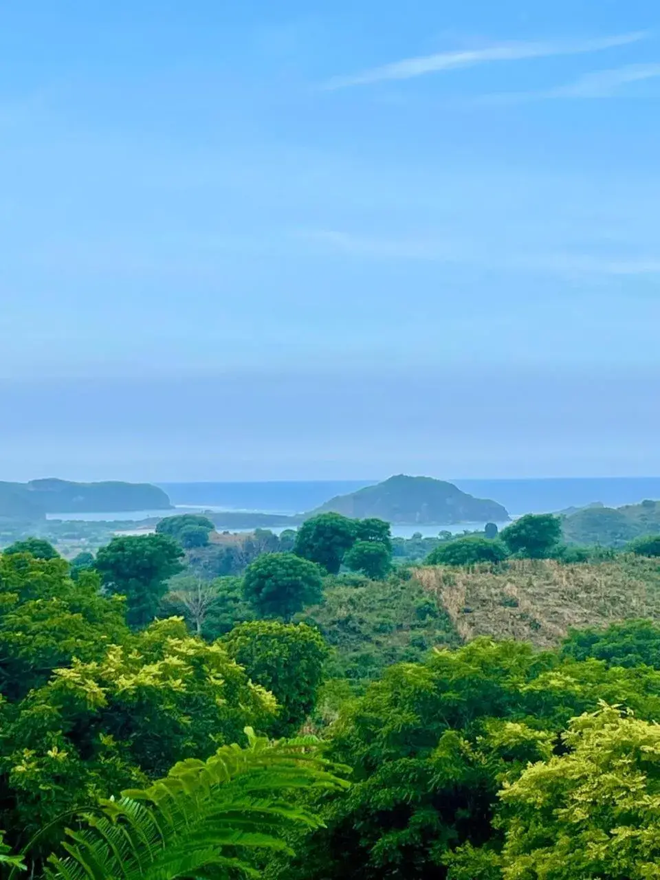 Restaurant/places to eat in Truntum Boutique Mandalika Restaurant/places to eat in Truntum Boutique Mandalika