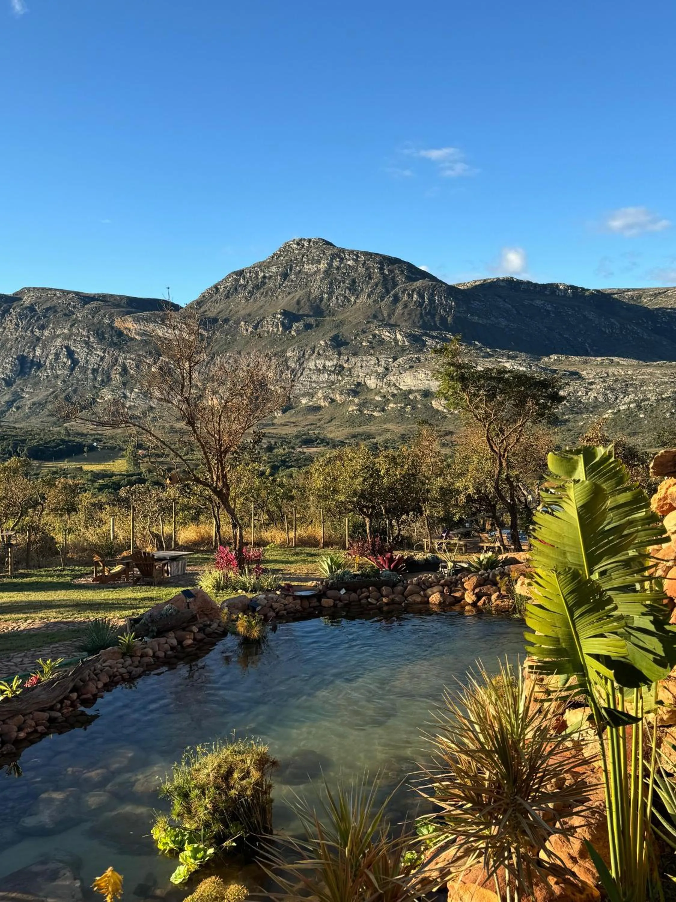 Garden in Euetu na Lapinha da Serra