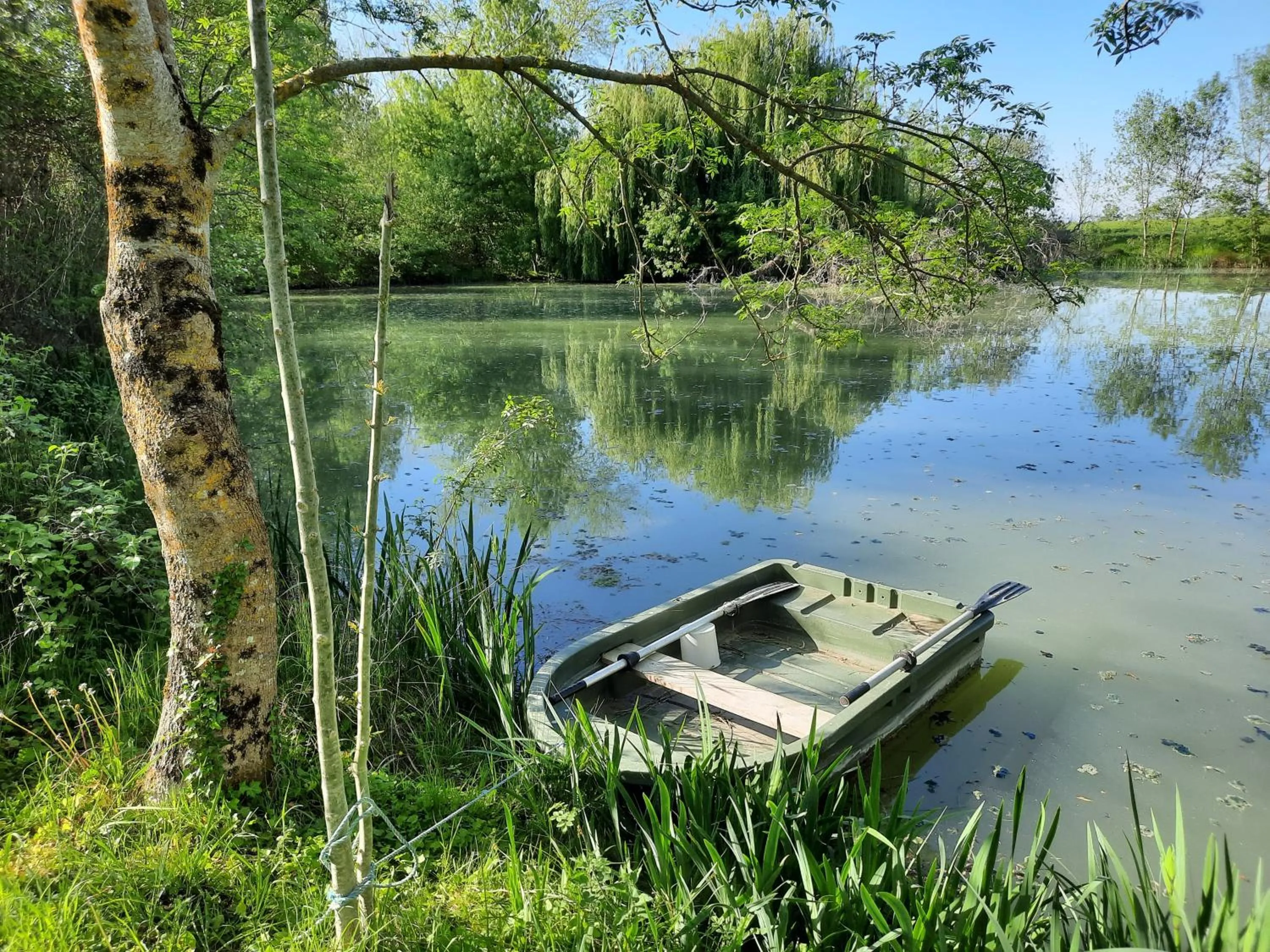 Lake view in Domaine de Fontsauzine - gîtes et chambre d'hôtes
