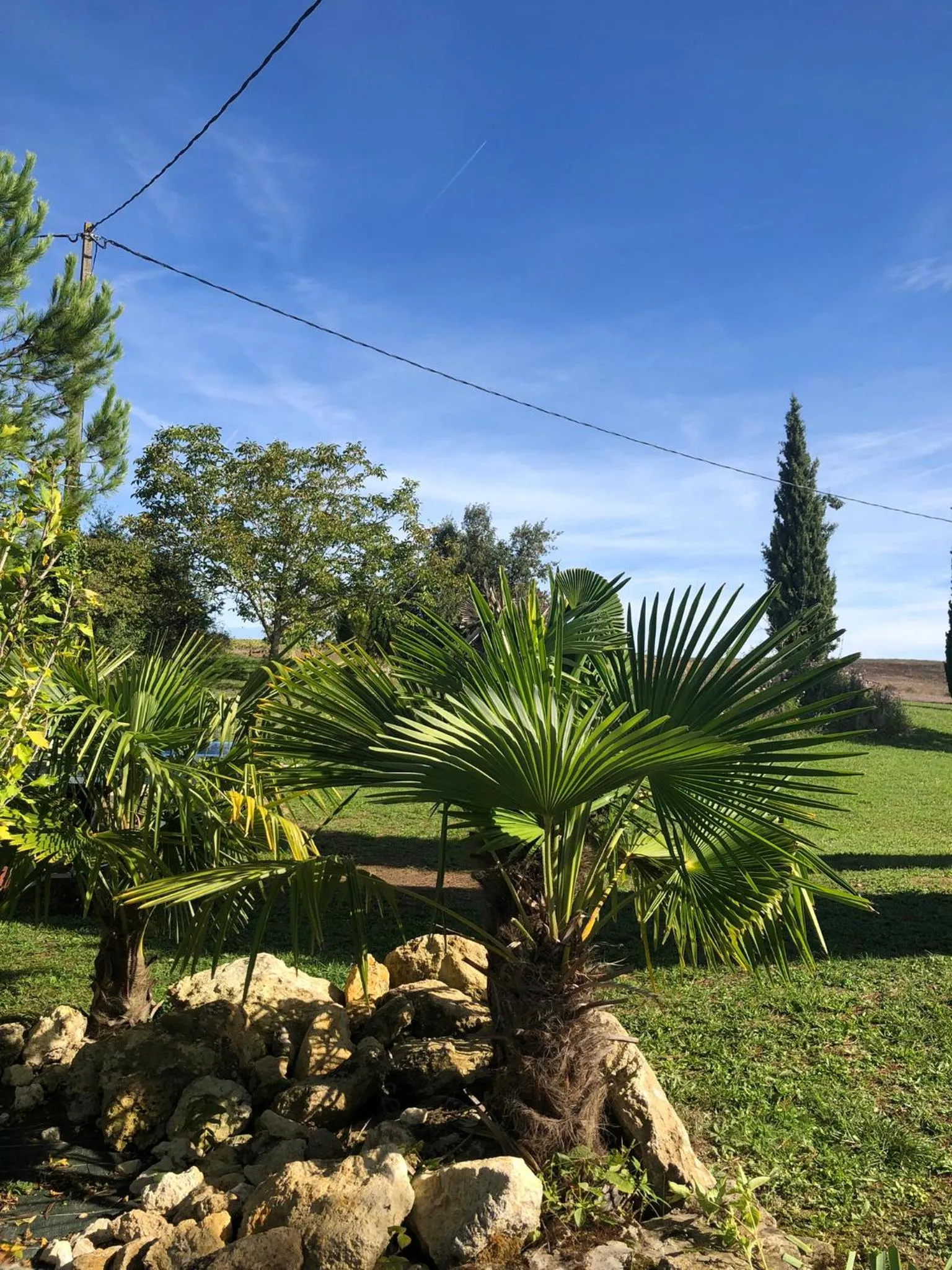 Chambre d'hôtes L'altitude - Domaine la Rose des vents