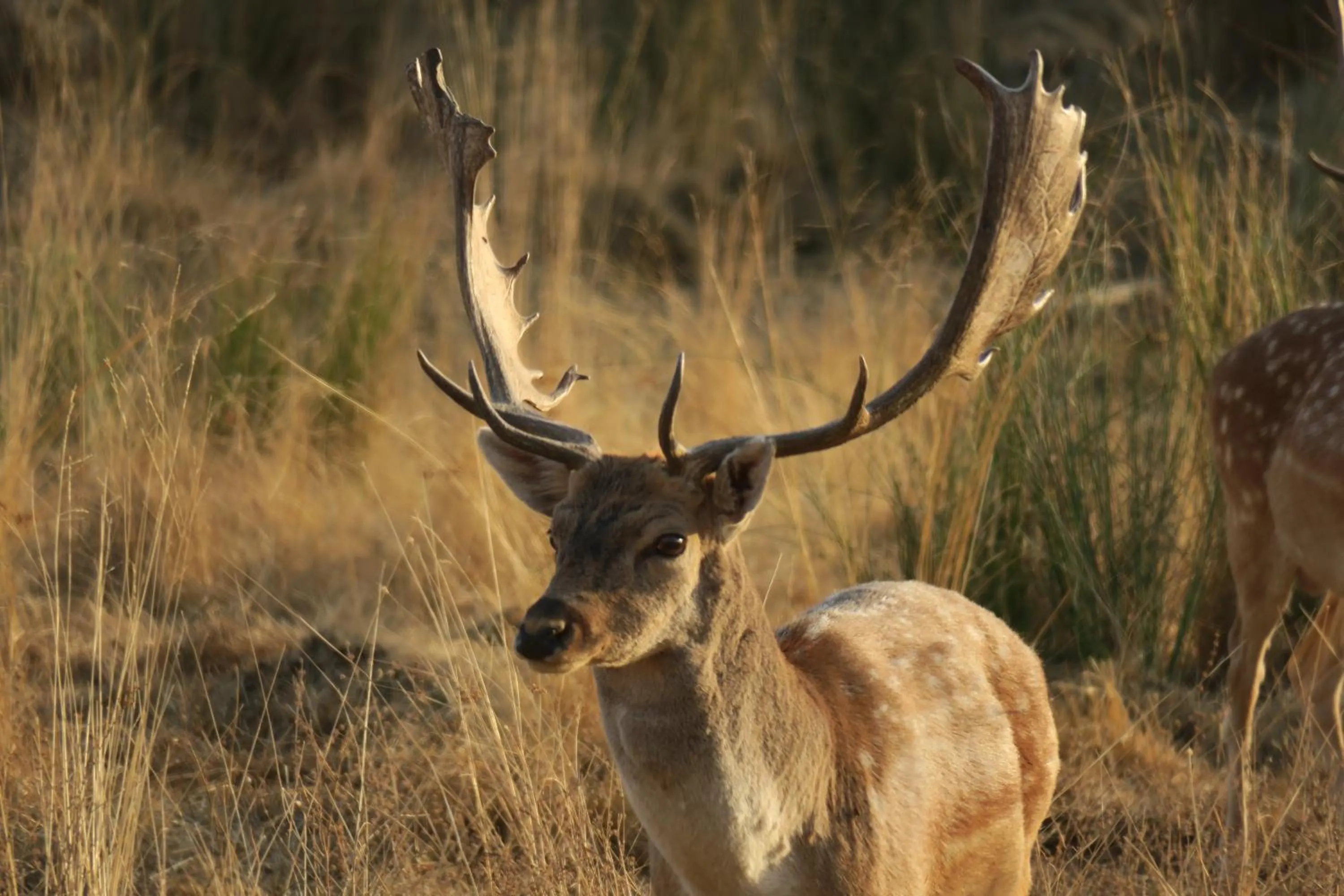 Off site in Herdade dos Abegões