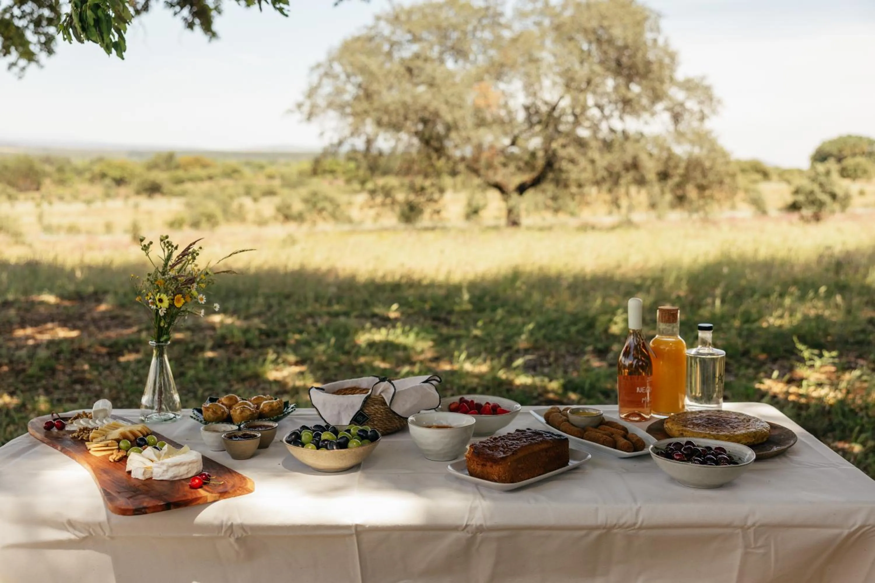 Off site in Herdade dos Abegões