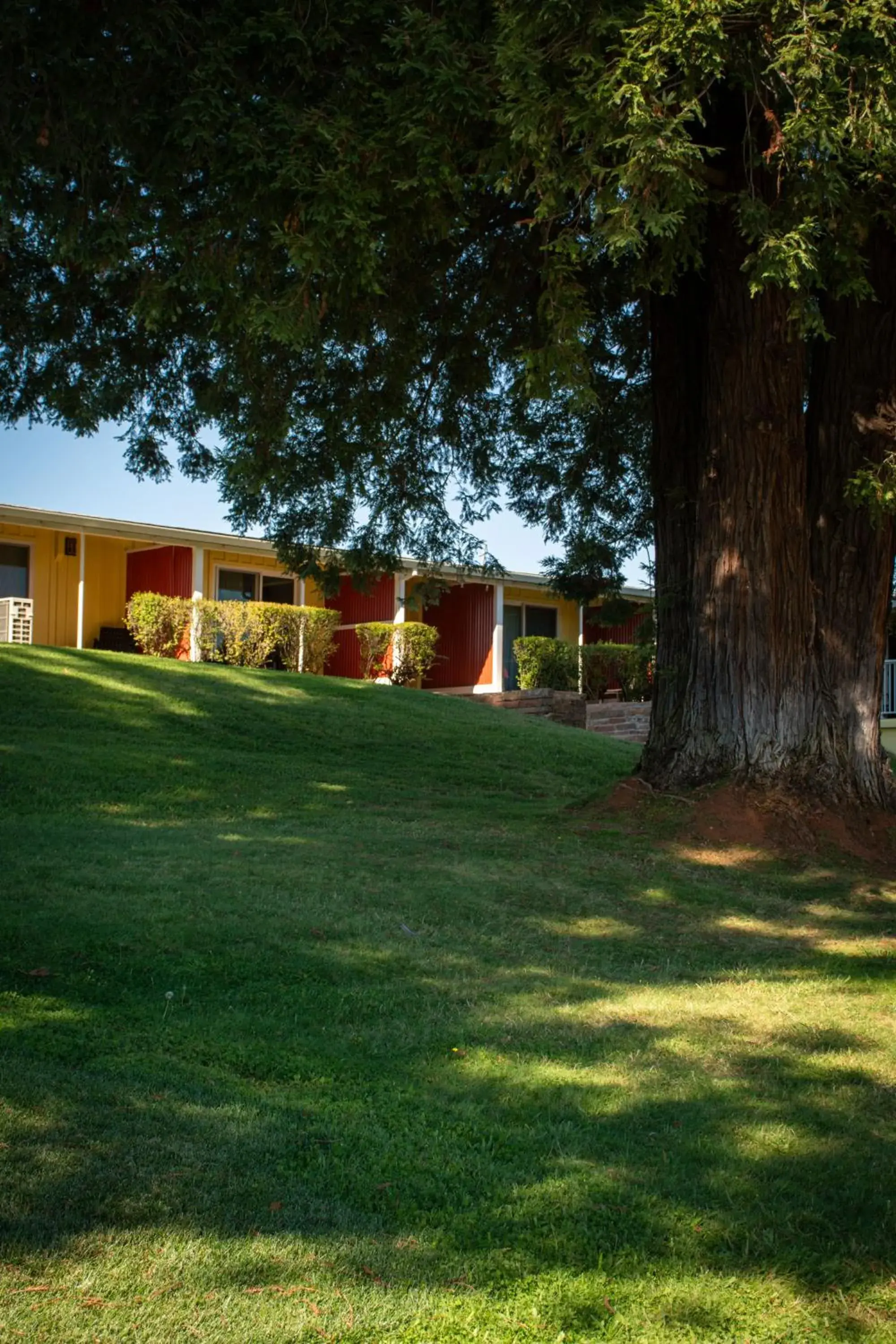 Property building in Foothills Motel Property building in Foothills Motel