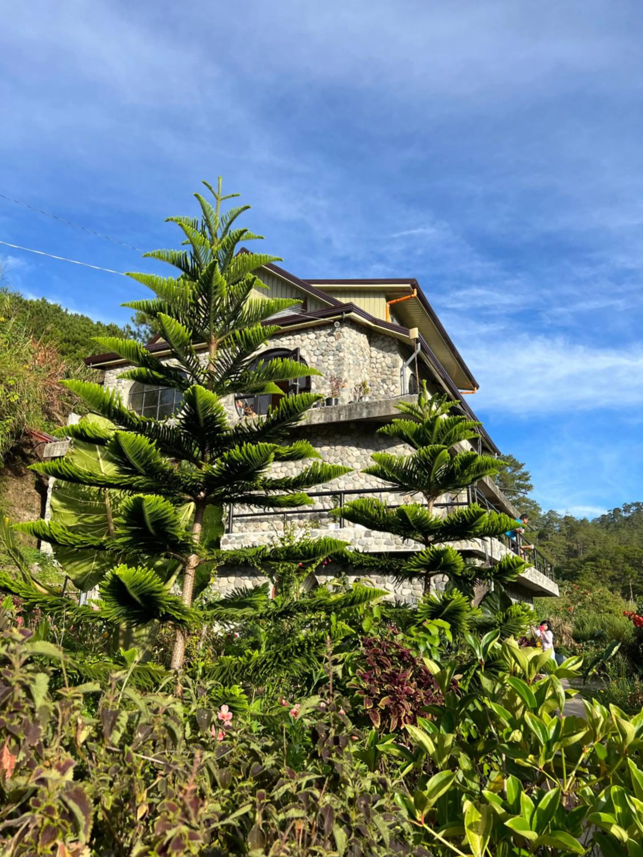 Property building in The Shire of Sagada