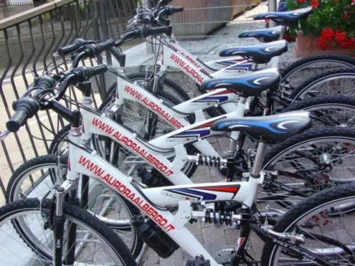 Decorative detail in Aurora