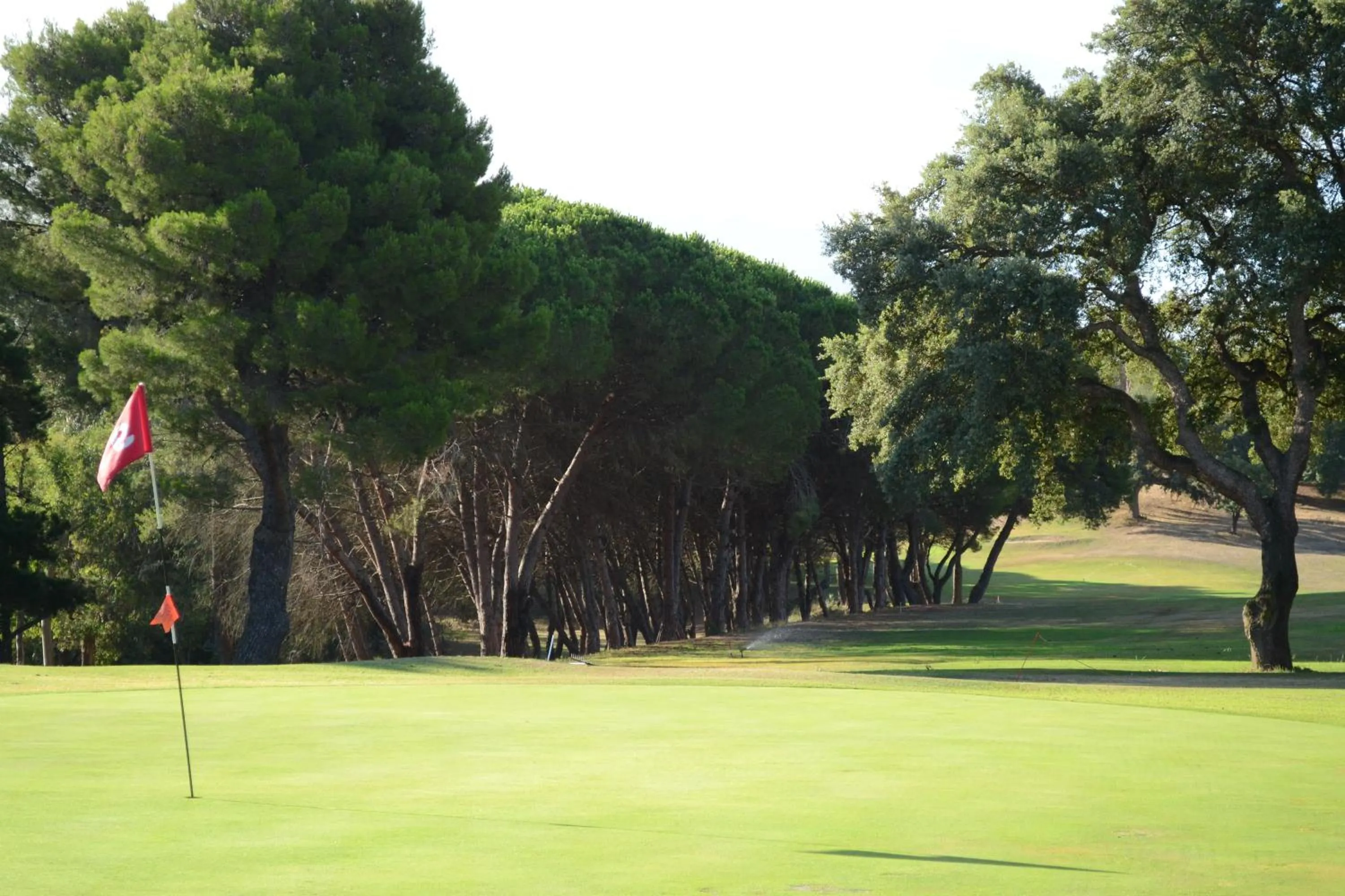 Golfcourse in Allegroitalia Elba Golf