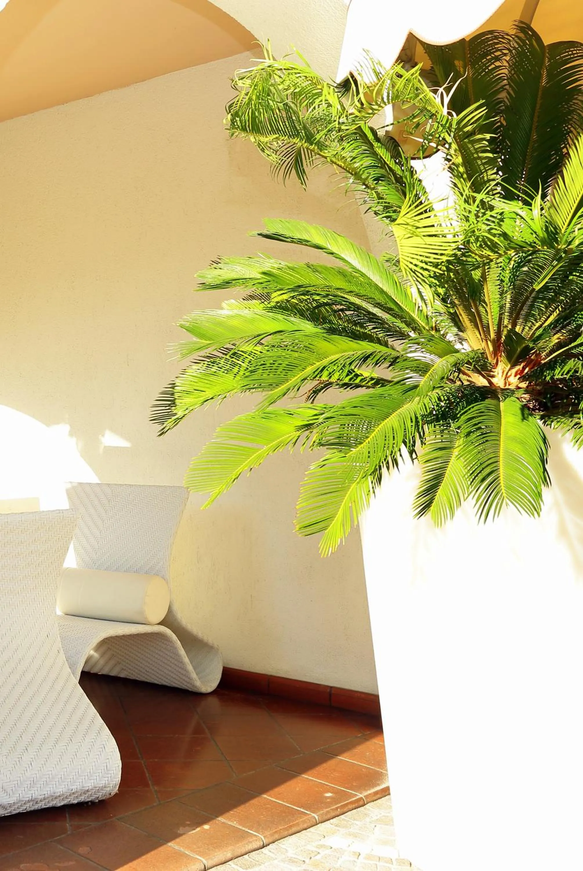 Garden in Hotel Prata Verde