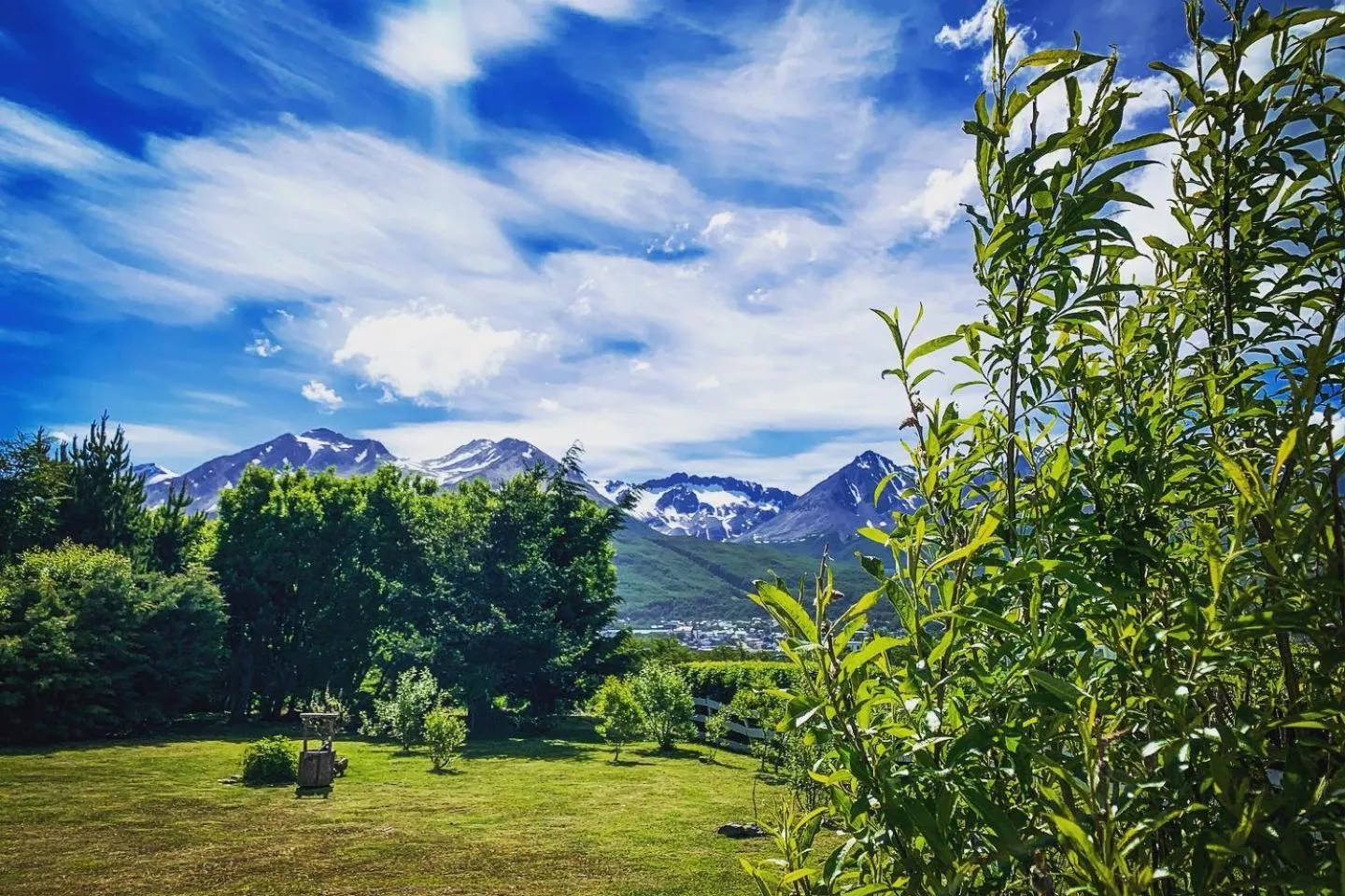 Natural landscape in OIKOS
