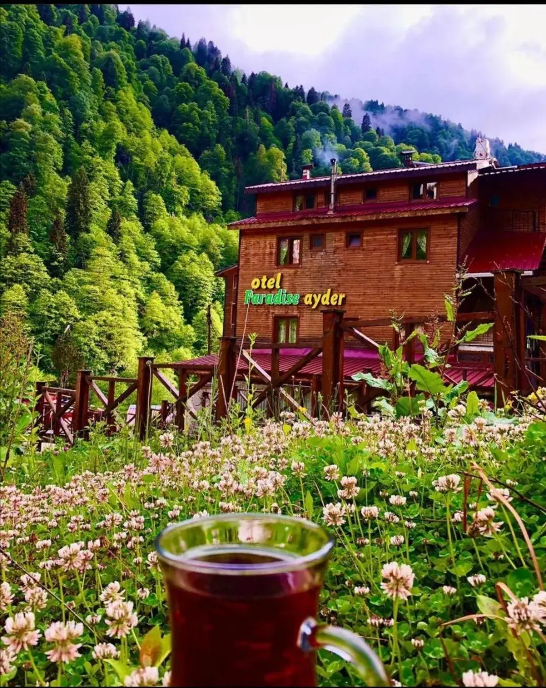 Ayder Paradise Otel Ayder Paradise Otel