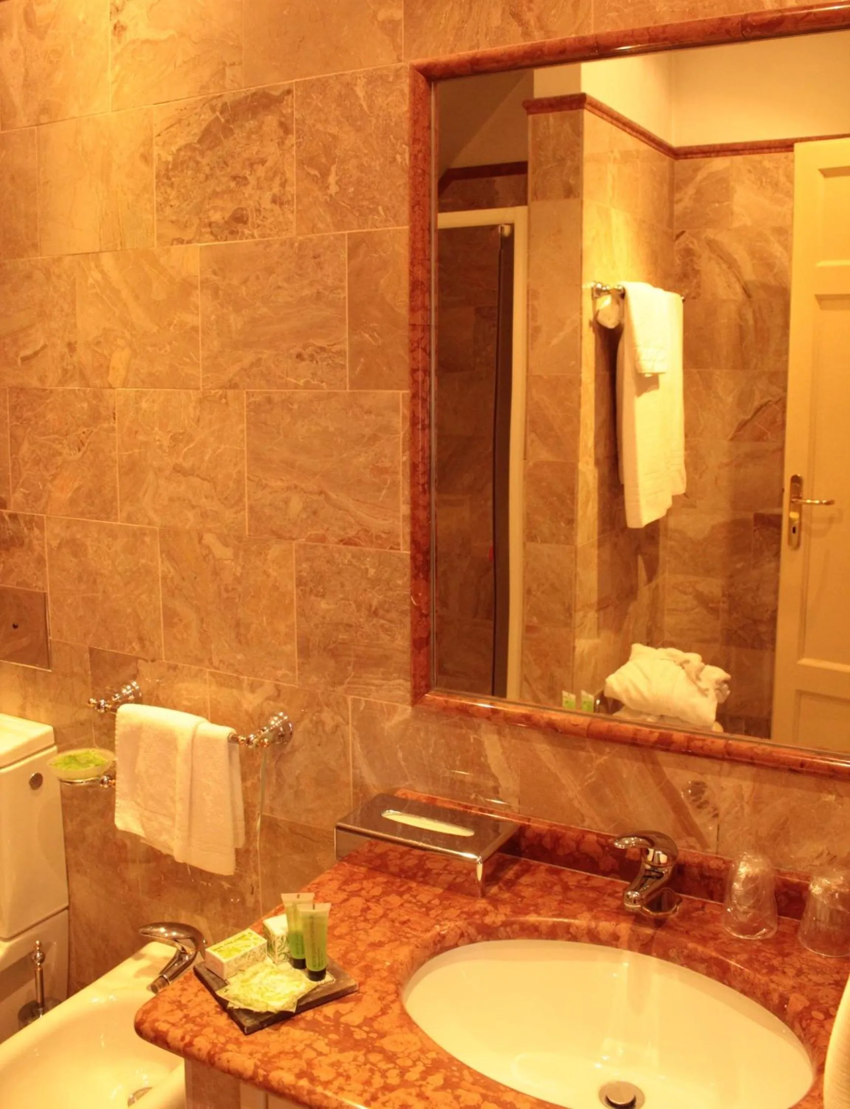 Toilet in Palace Grand Hotel Varese