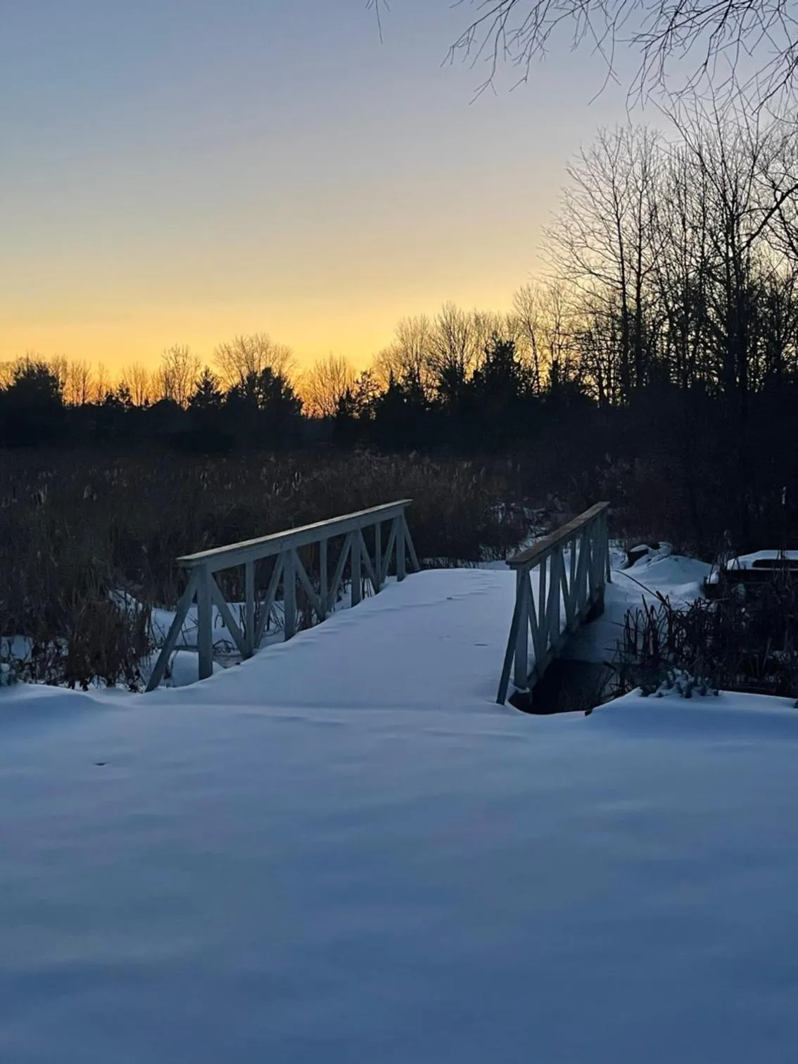 Natural landscape in Galvanized America Inn & Art Gallery