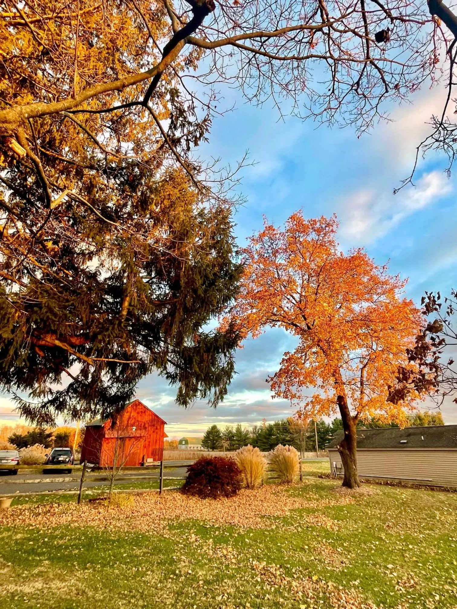 Natural landscape in Galvanized America Inn & Art Gallery